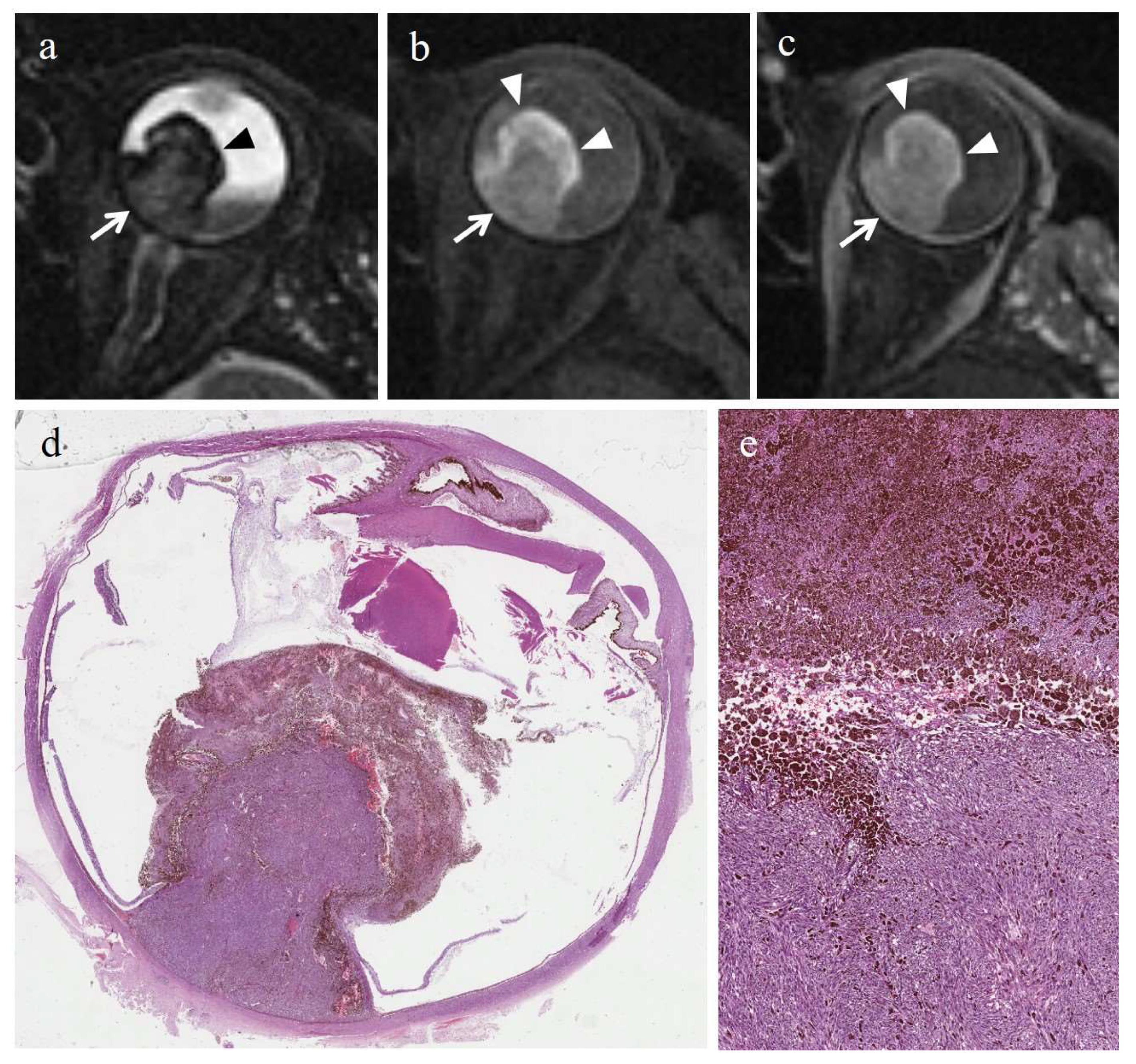 Cancers 14 00215 g004 550