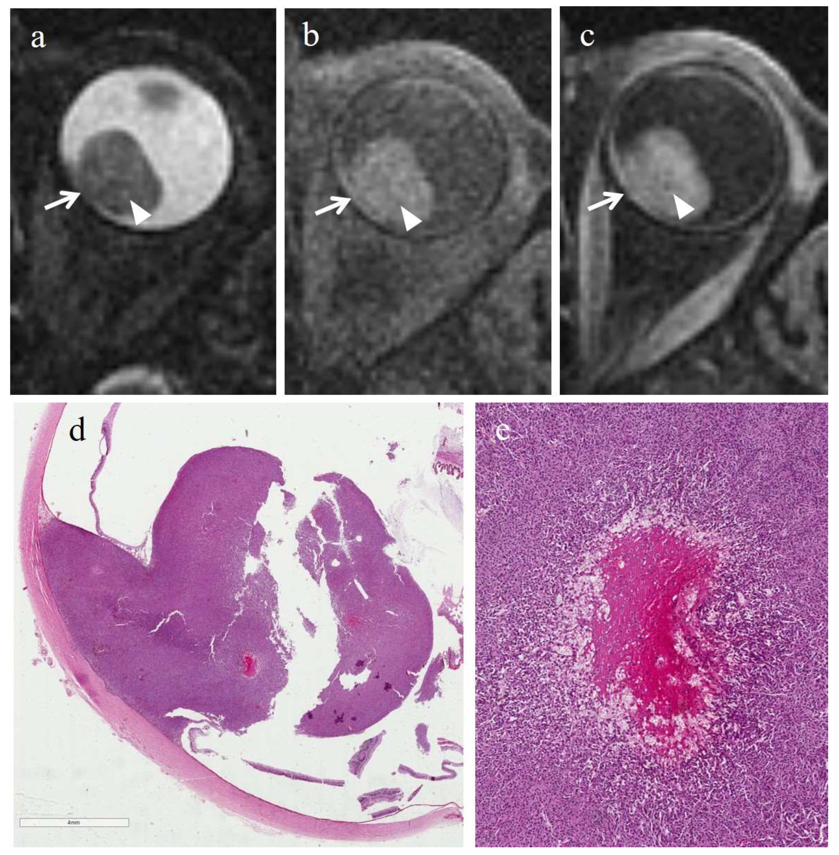 Cancers 14 00215 g006 550
