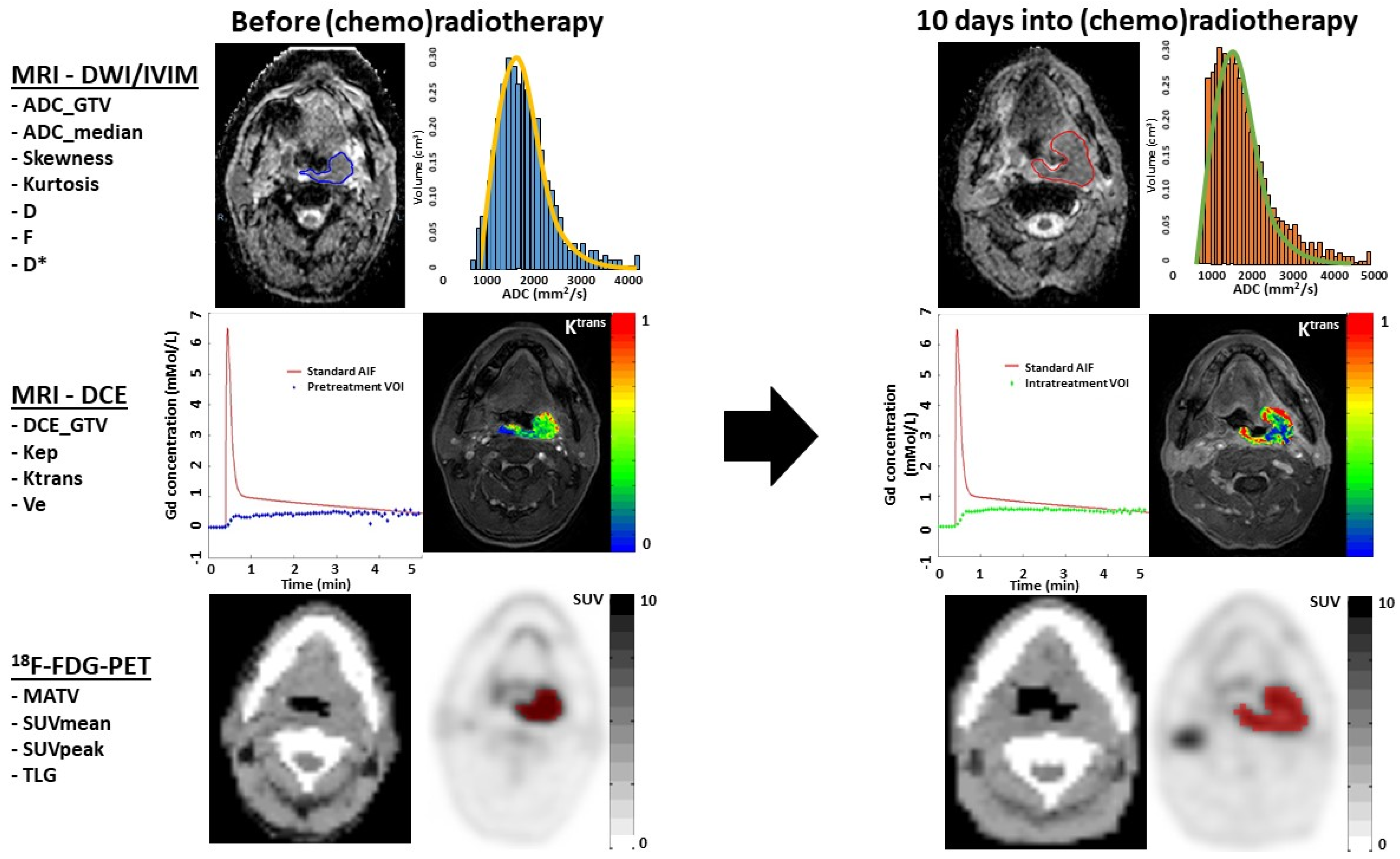 Cancers 14 00216 g001