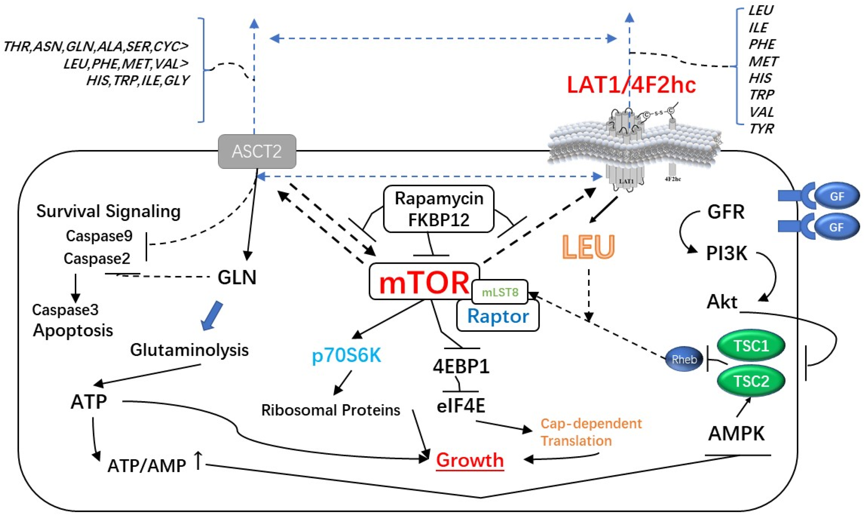 Cancers 14 00229 g002