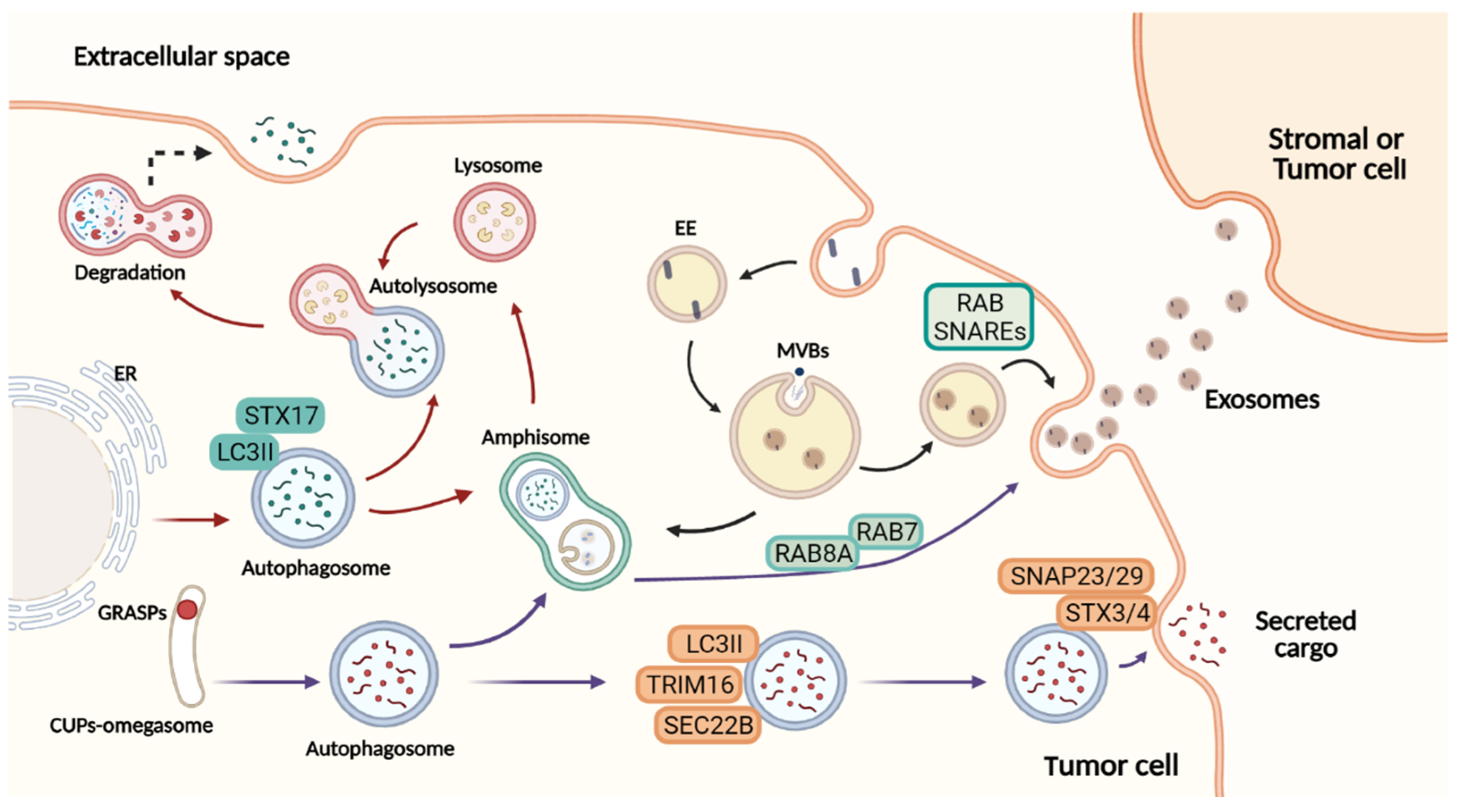 Cancers 14 00234 g001