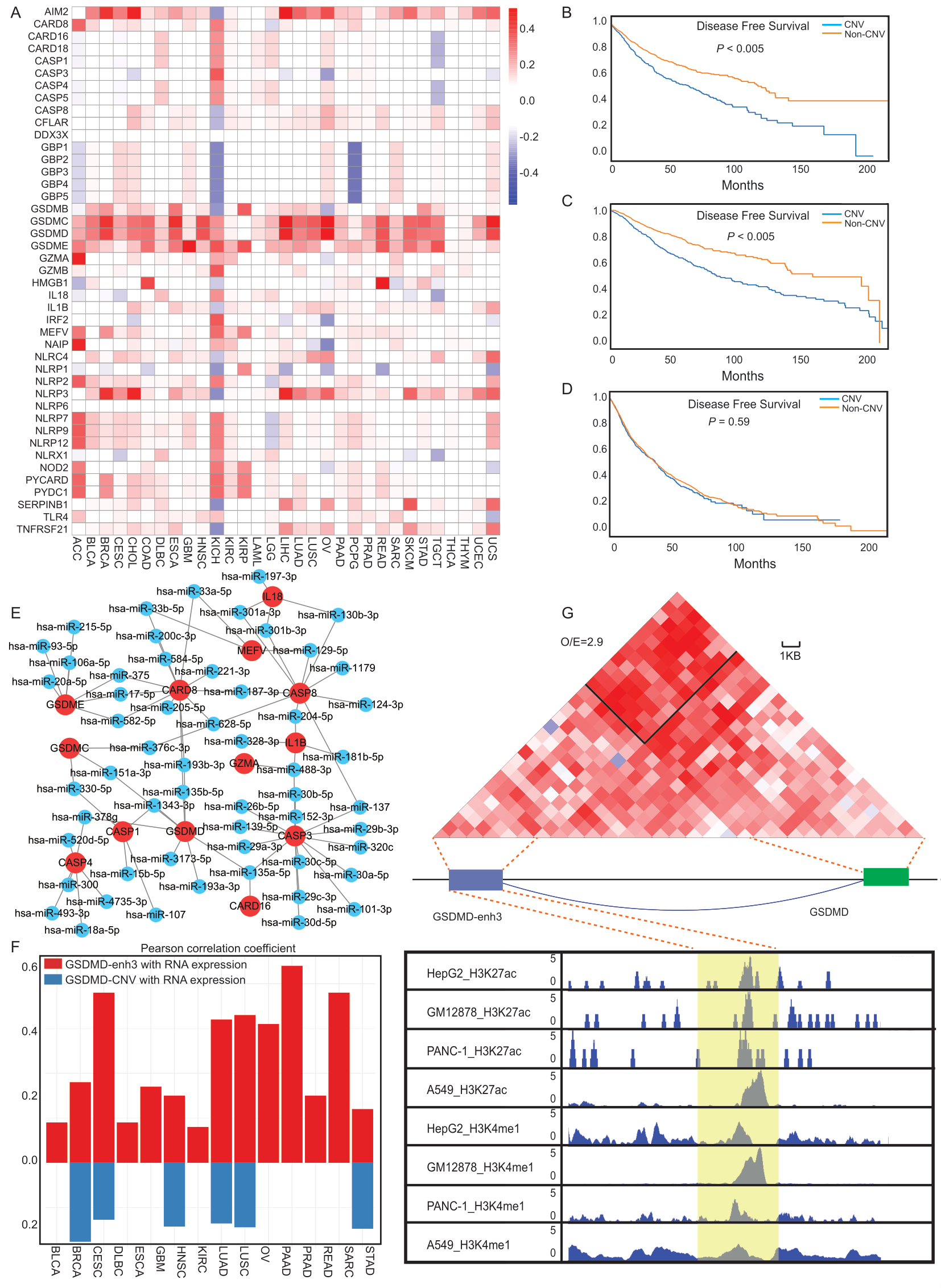 Cancers 14 00237 g003