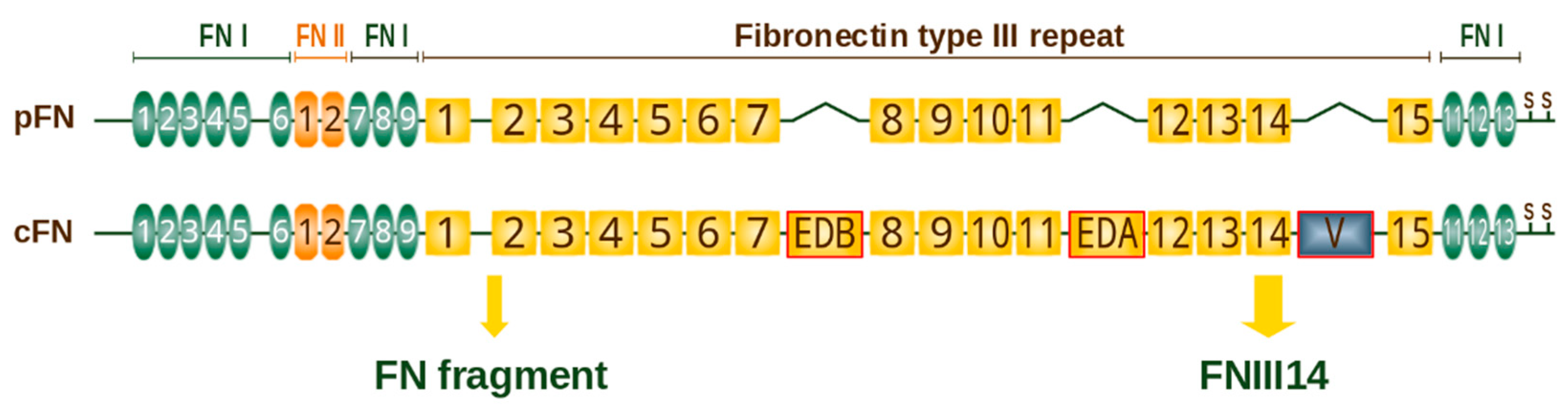 Cancers 14 00238 g003 Cancers 14 00238 g003