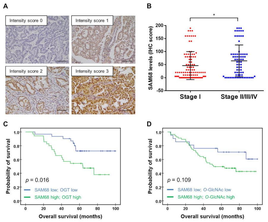 Cancers 14 00243 g006