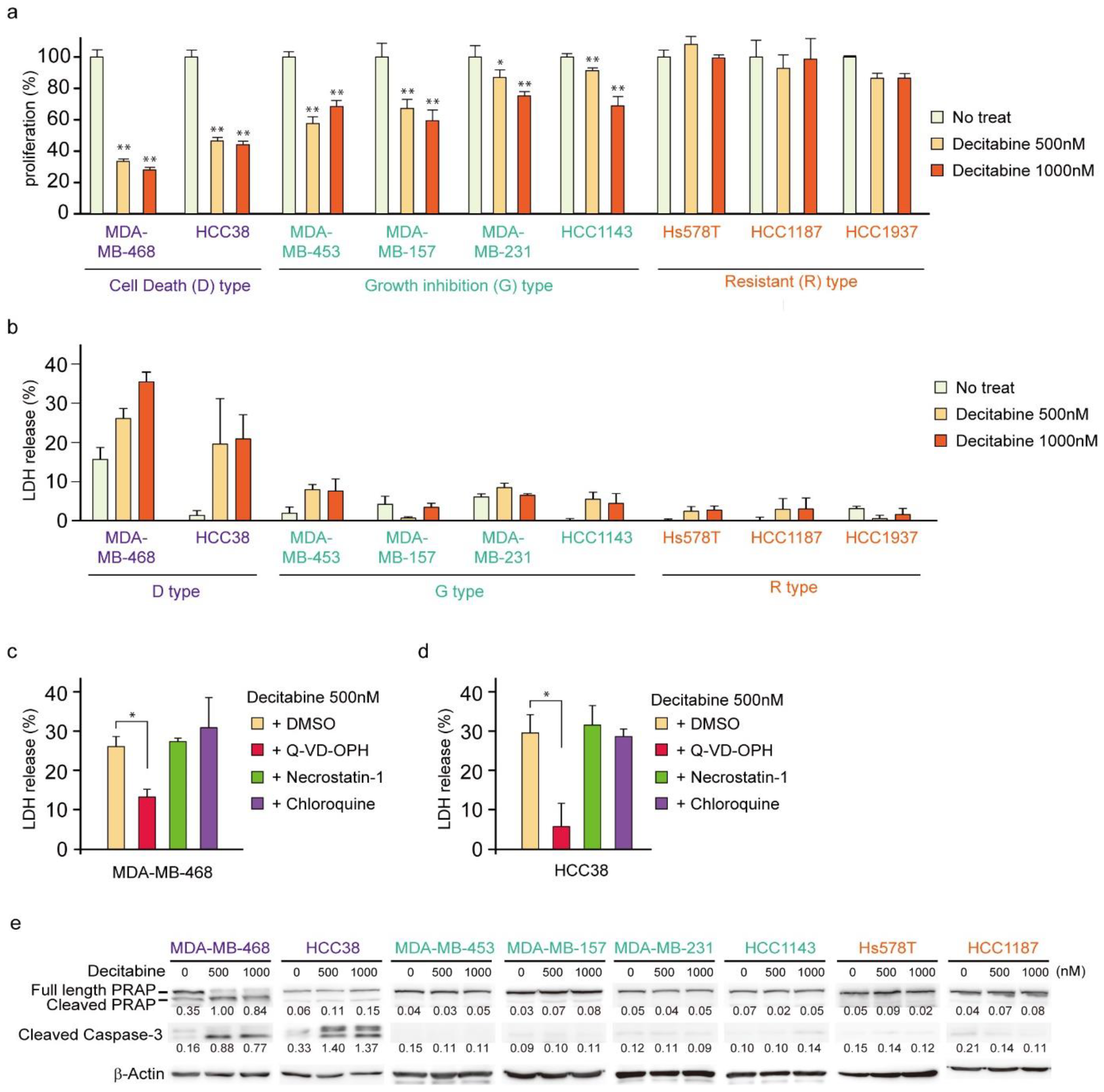 Cancers 14 00248 g001 550