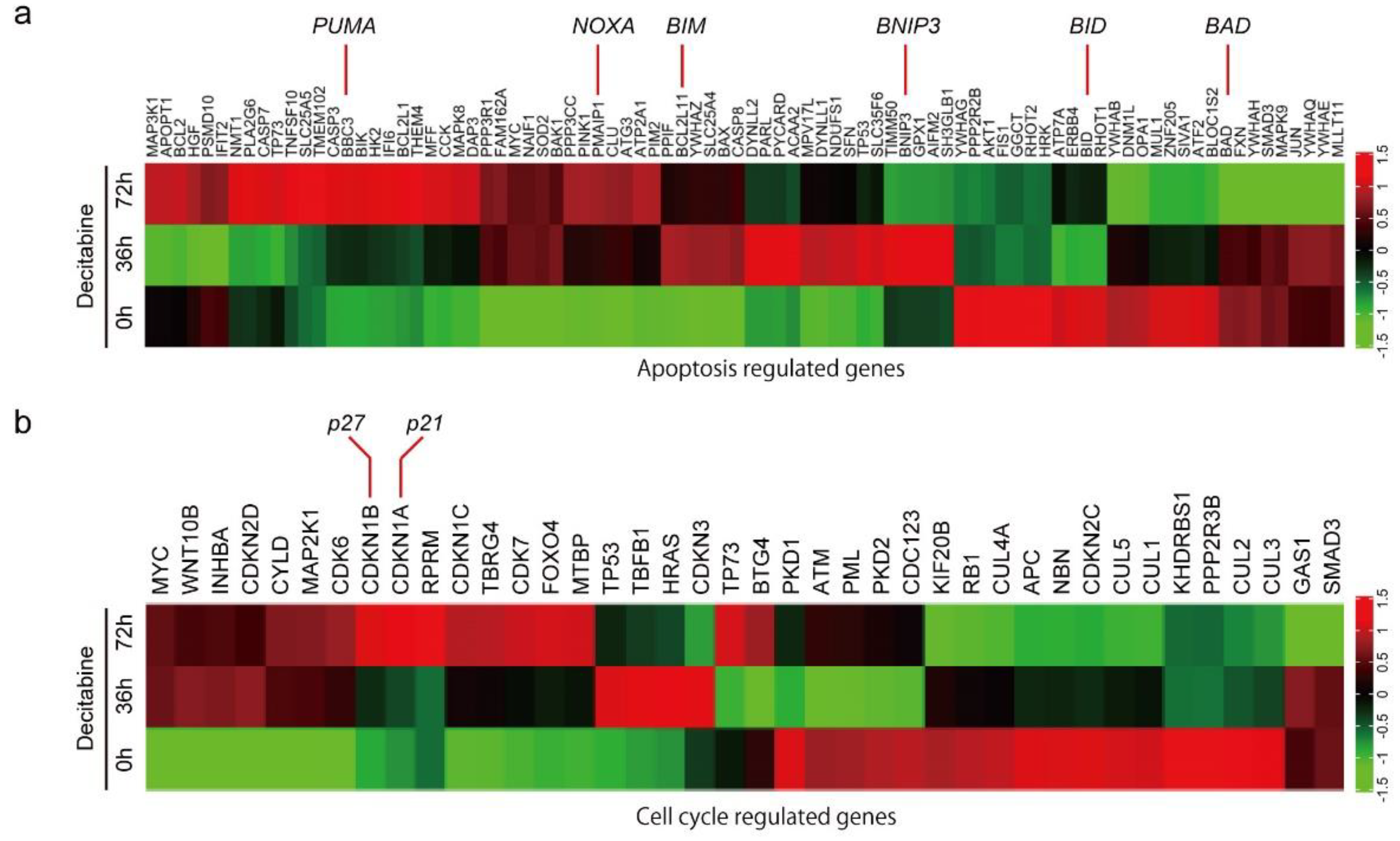 Cancers 14 00248 g002a 550