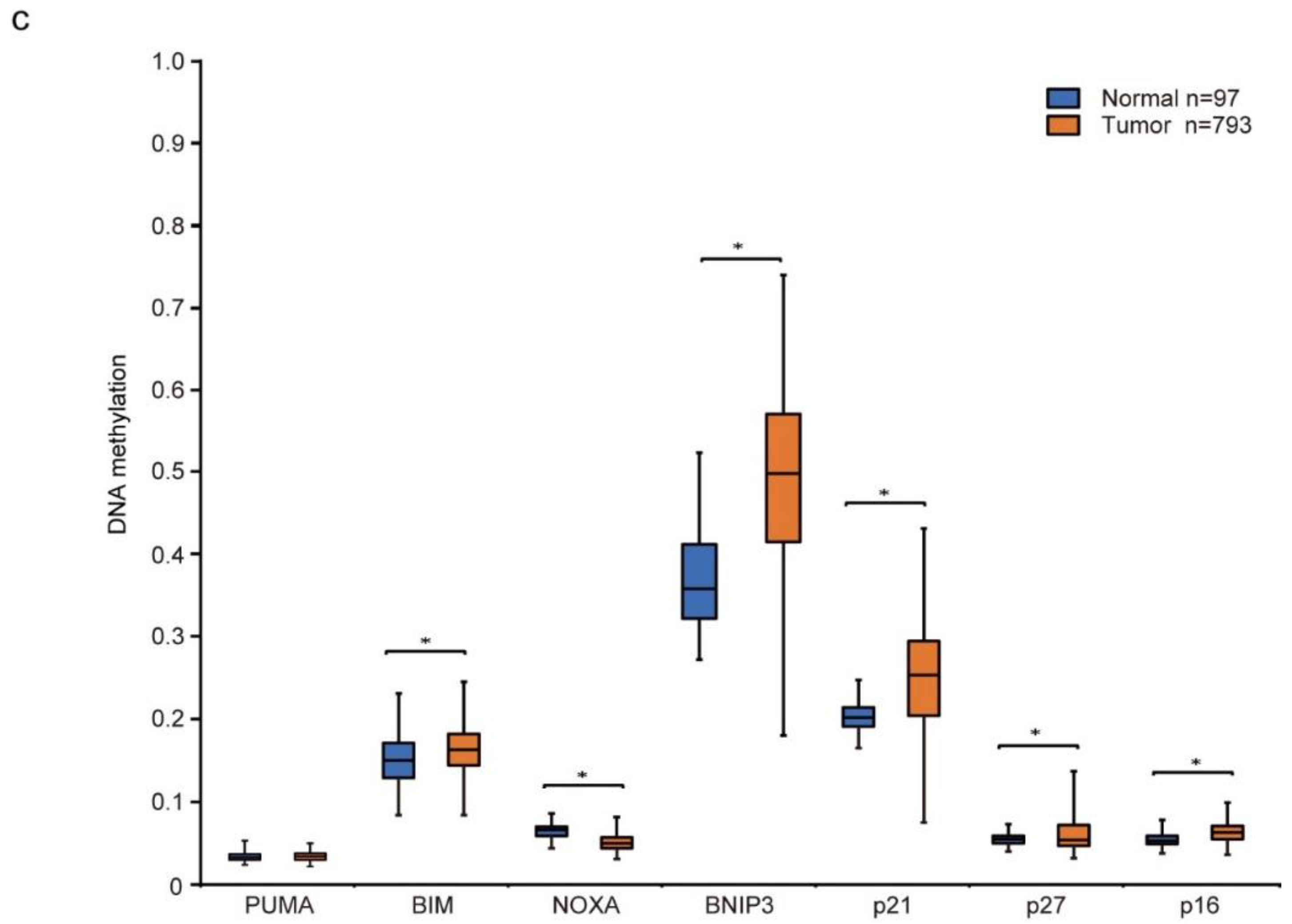 Cancers 14 00248 g002b 550