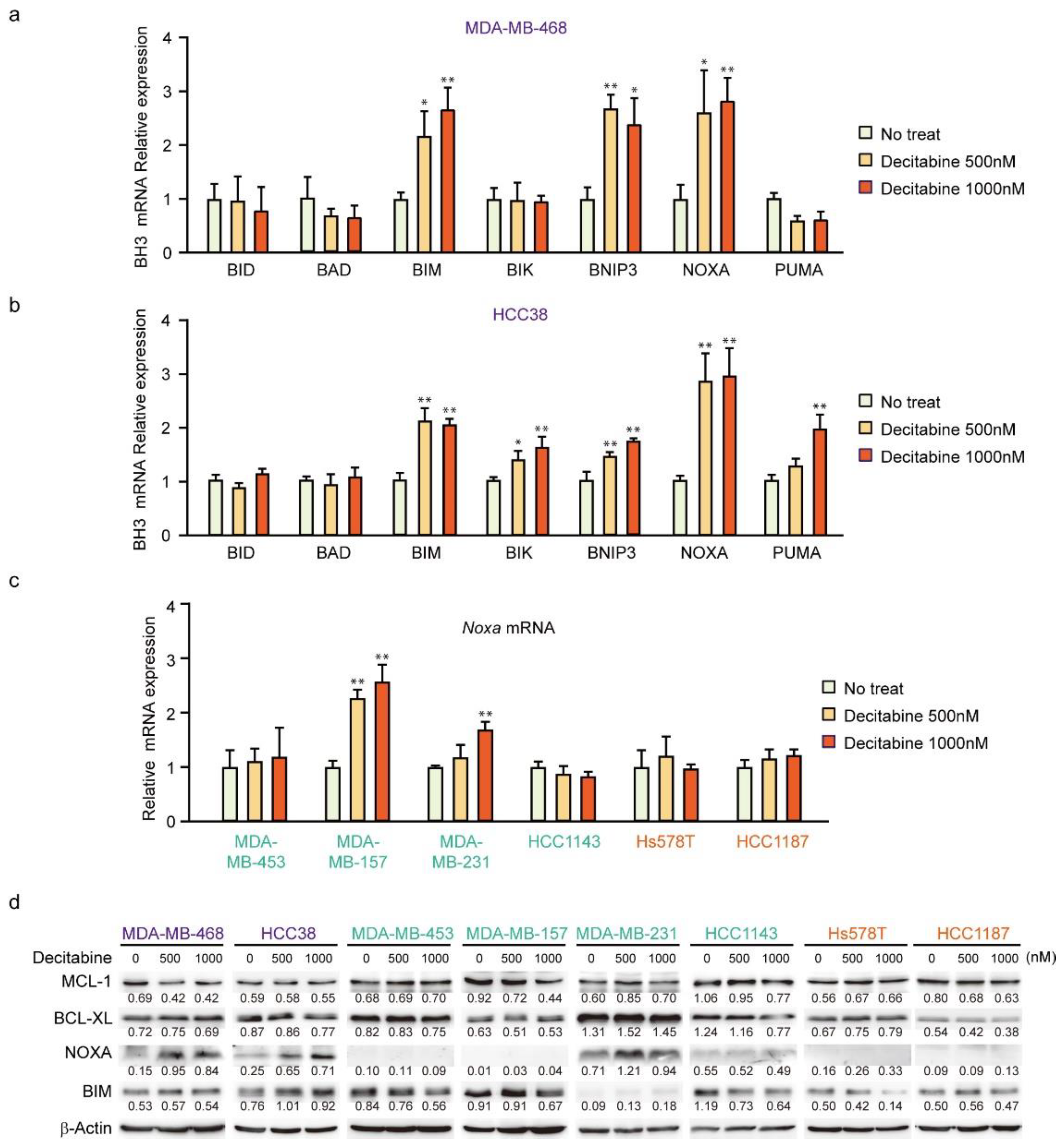 Cancers 14 00248 g003 550
