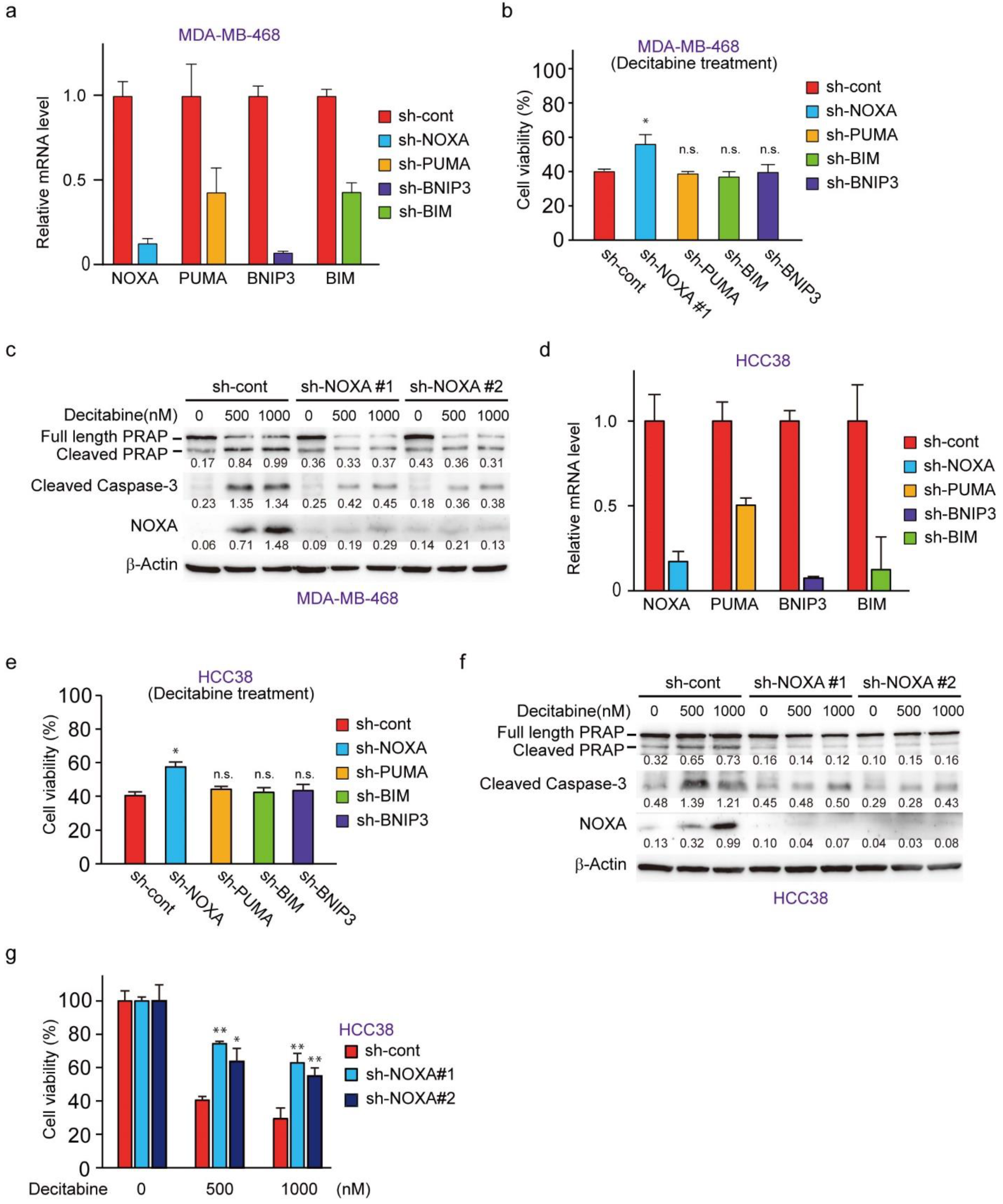 Cancers 14 00248 g004 550