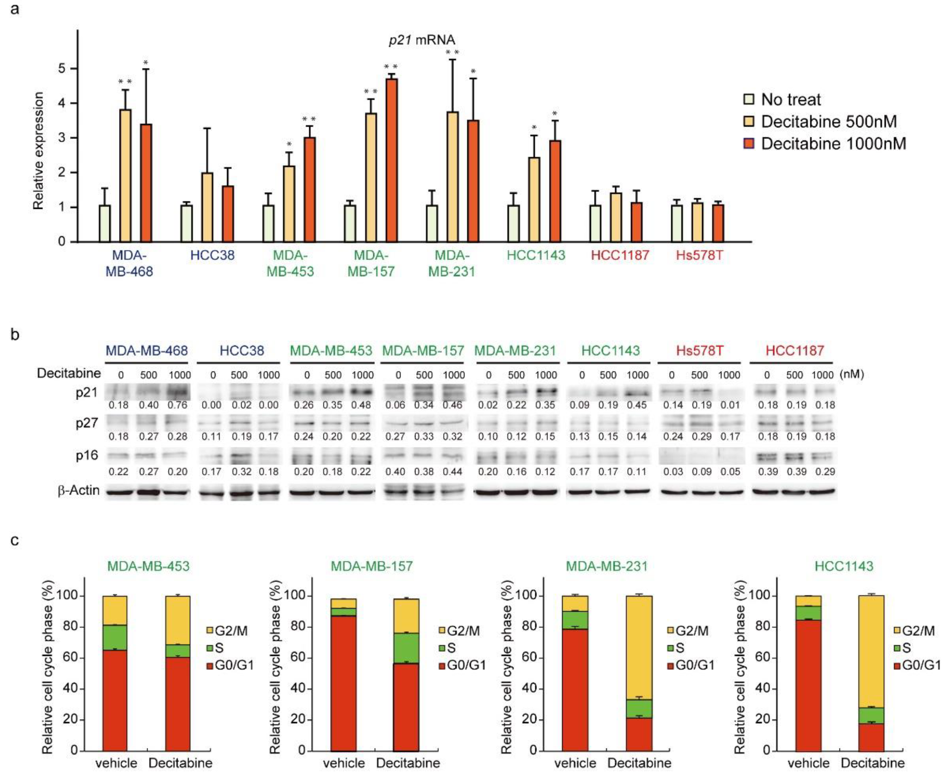 Cancers 14 00248 g005 550