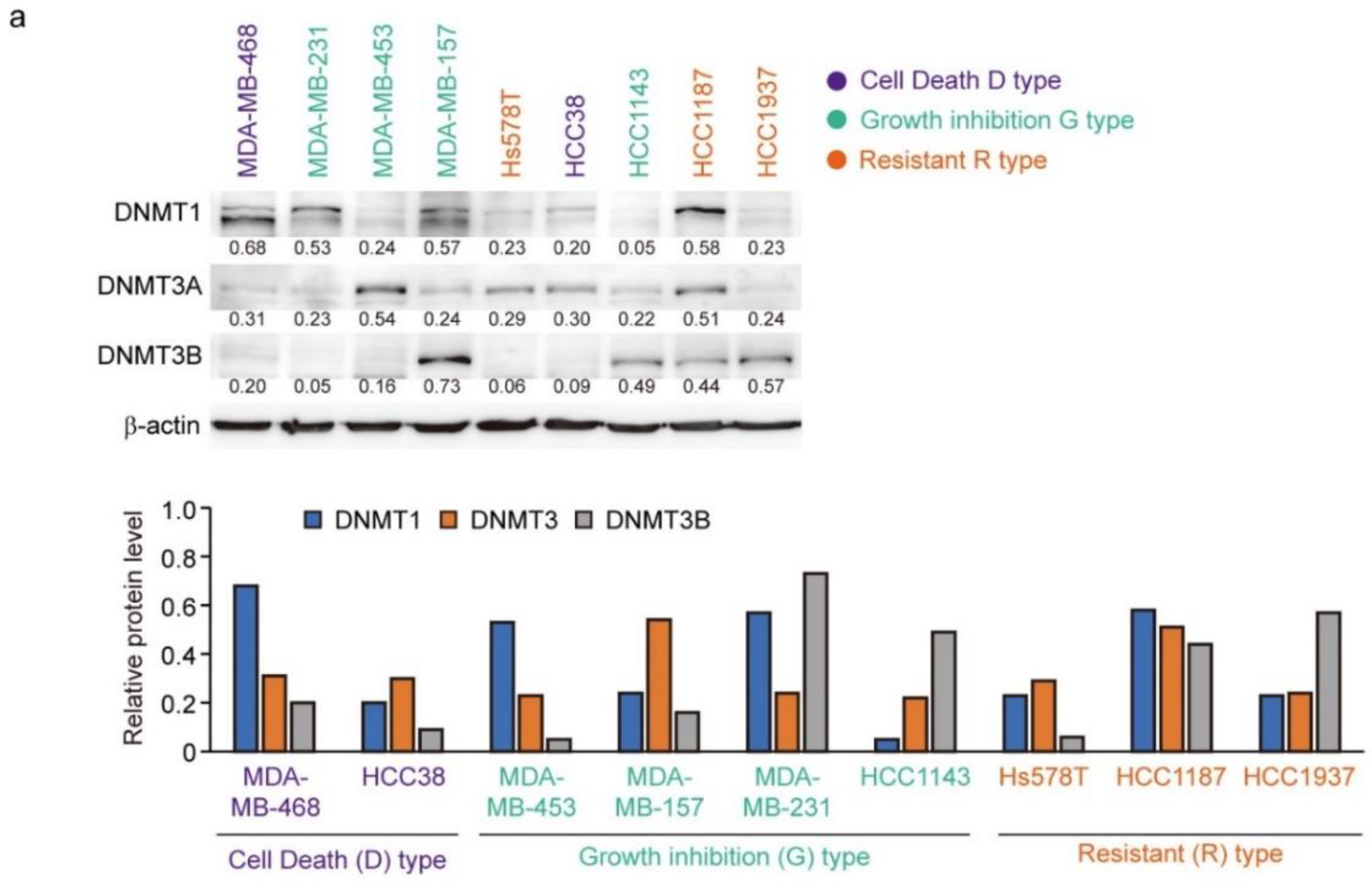 Cancers 14 00248 g006a 550