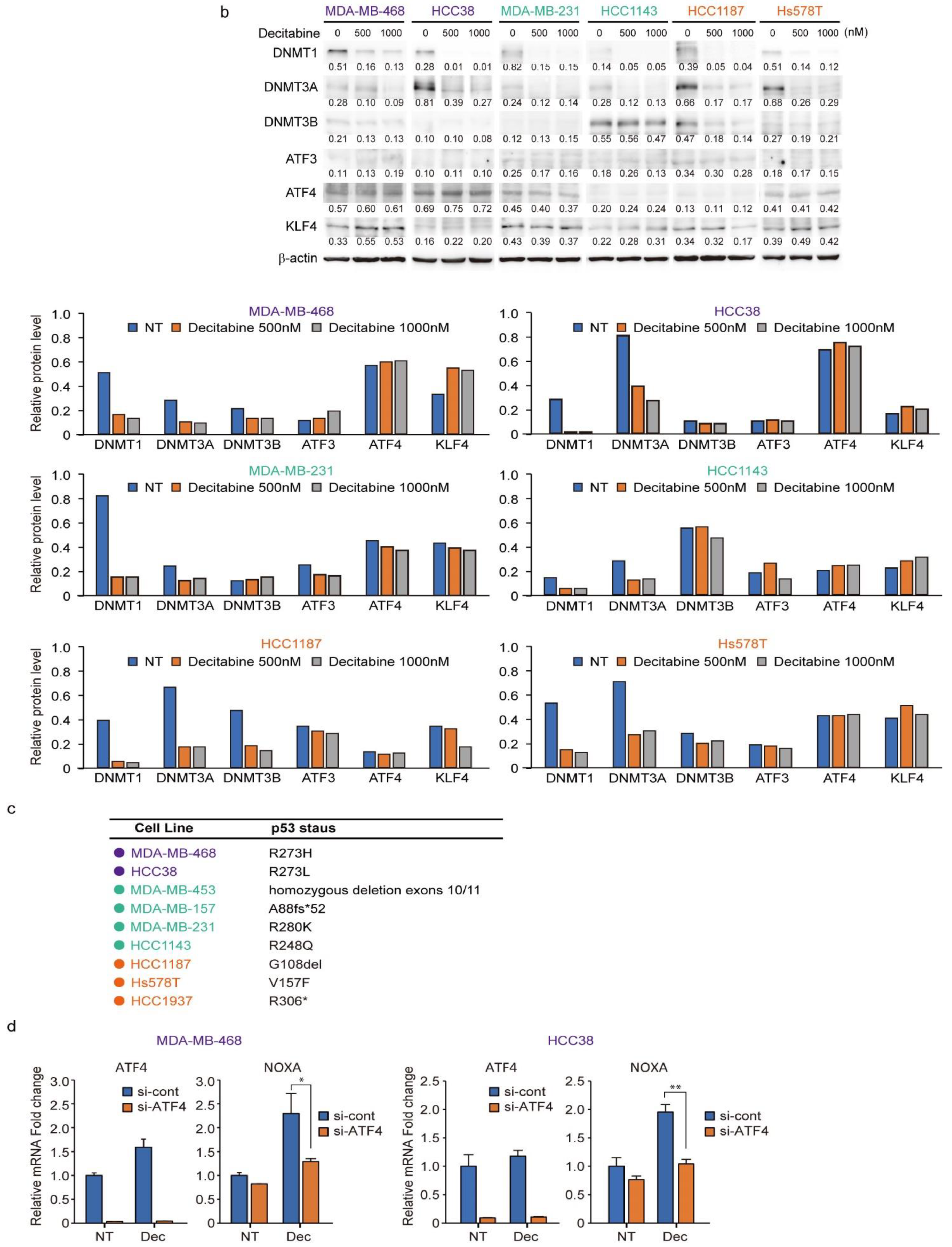 Cancers 14 00248 g006b 550