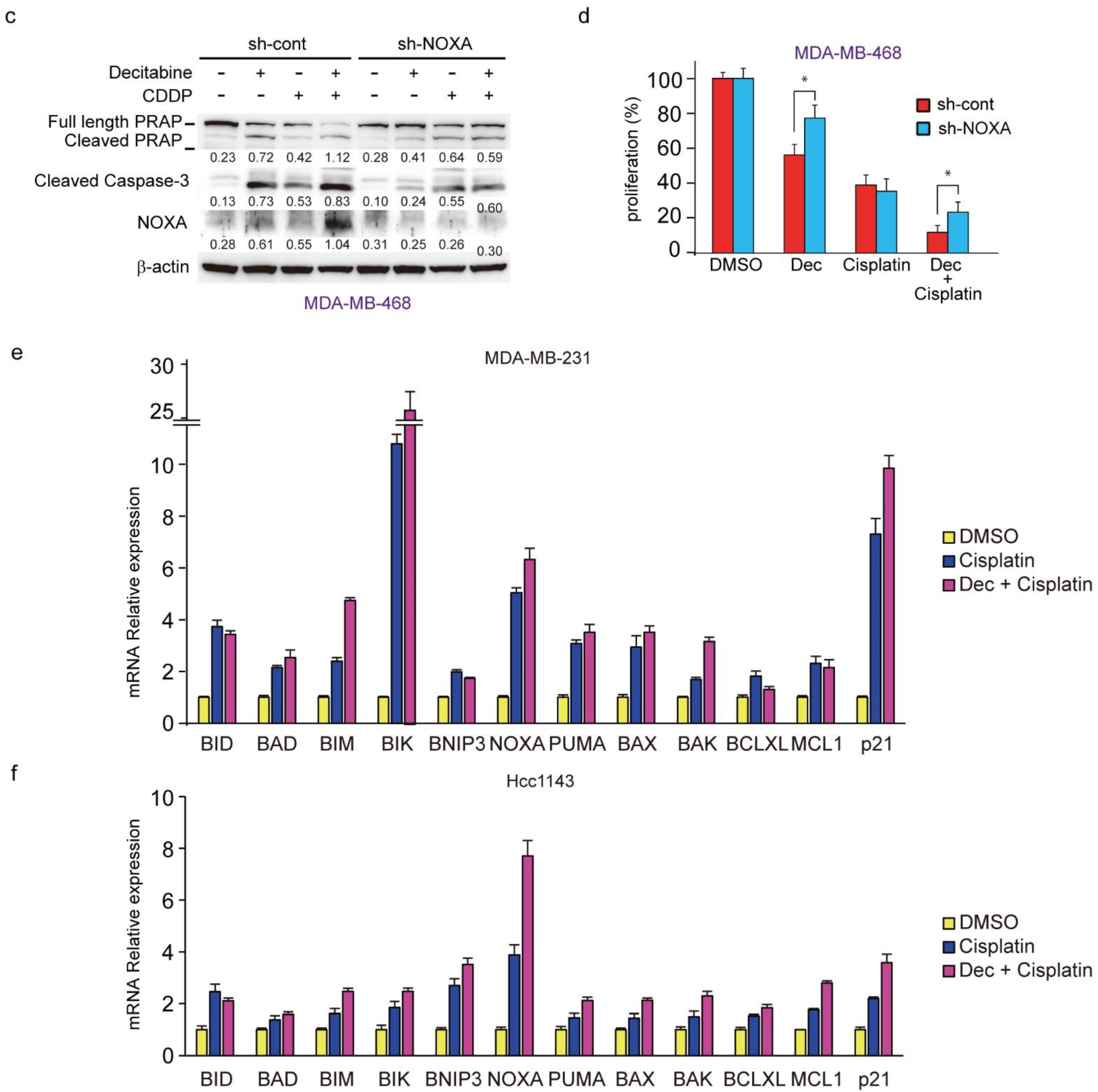 Cancers 14 00248 g008b 550