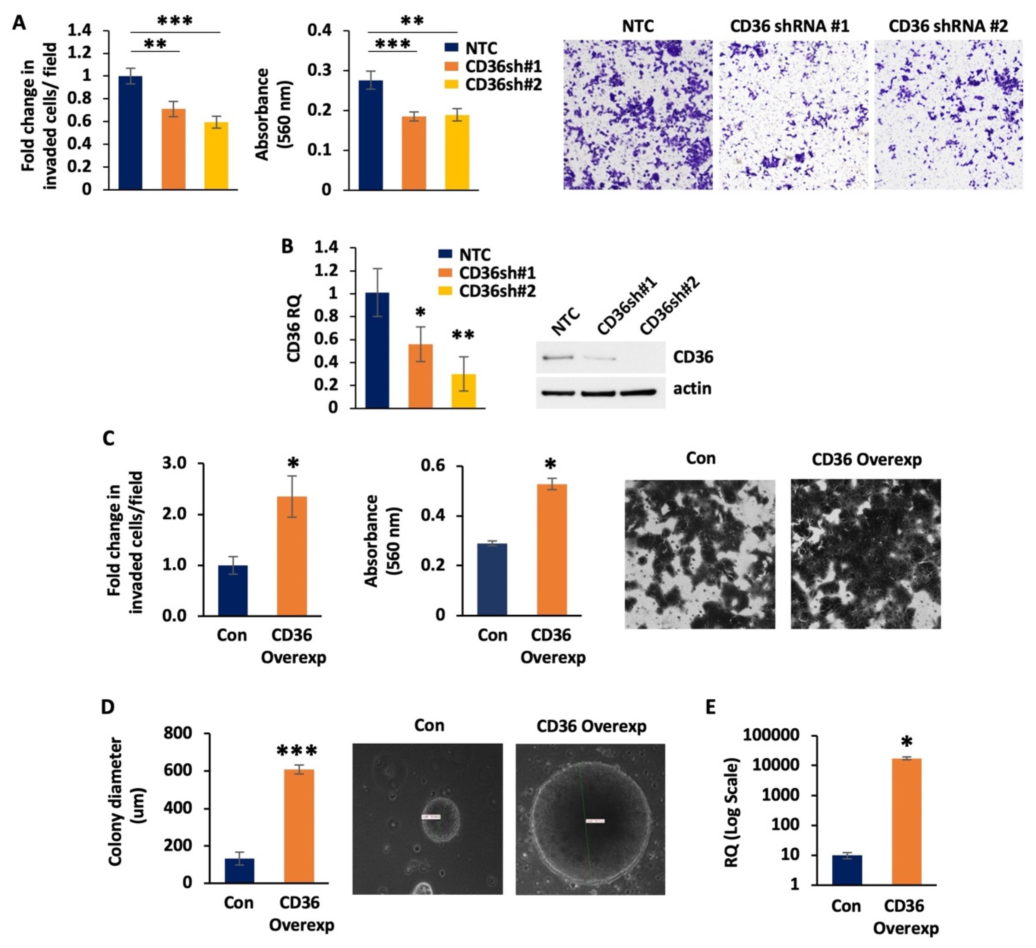 Cancers 14 00252 g001