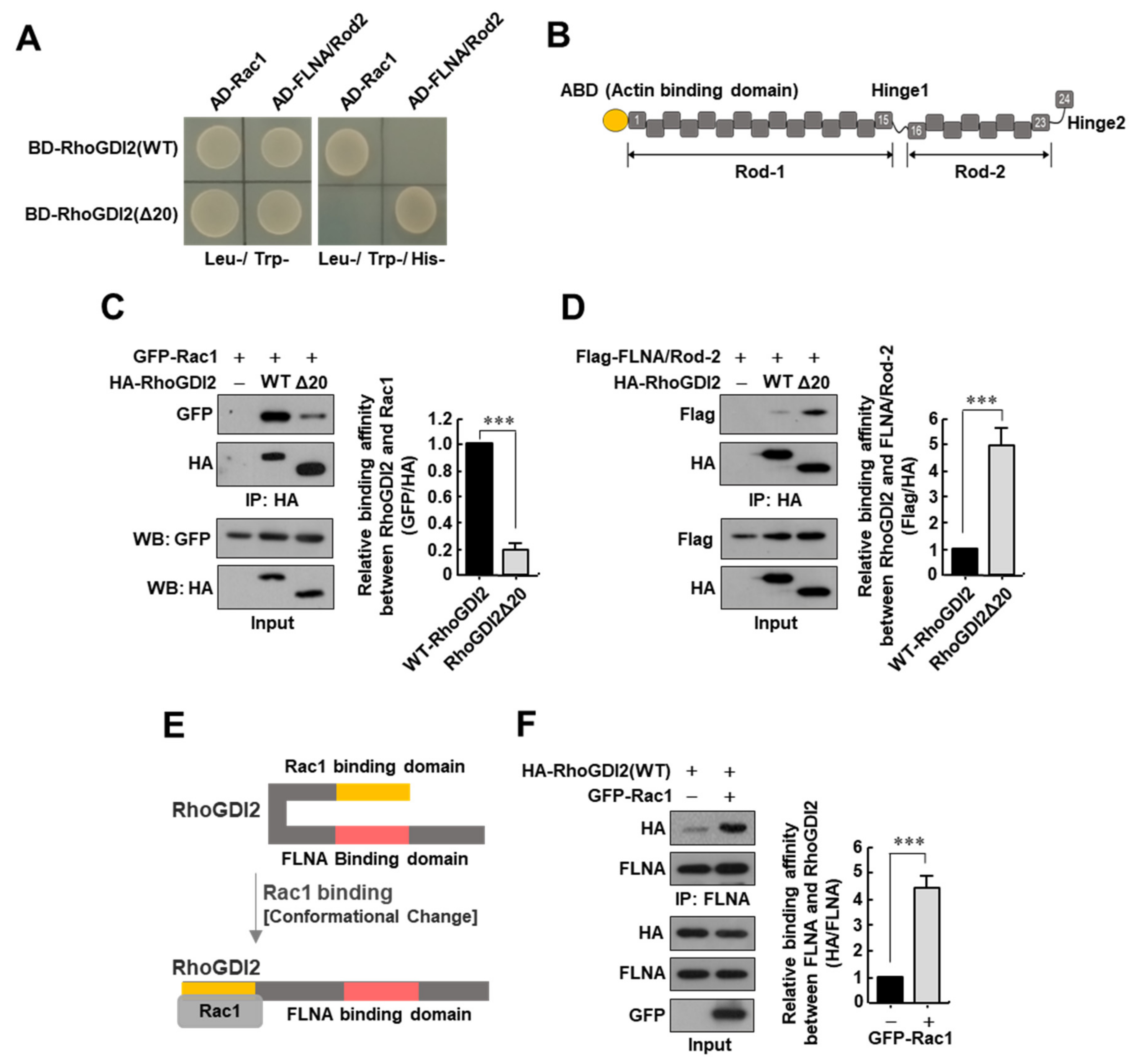 Cancers 14 00255 g001