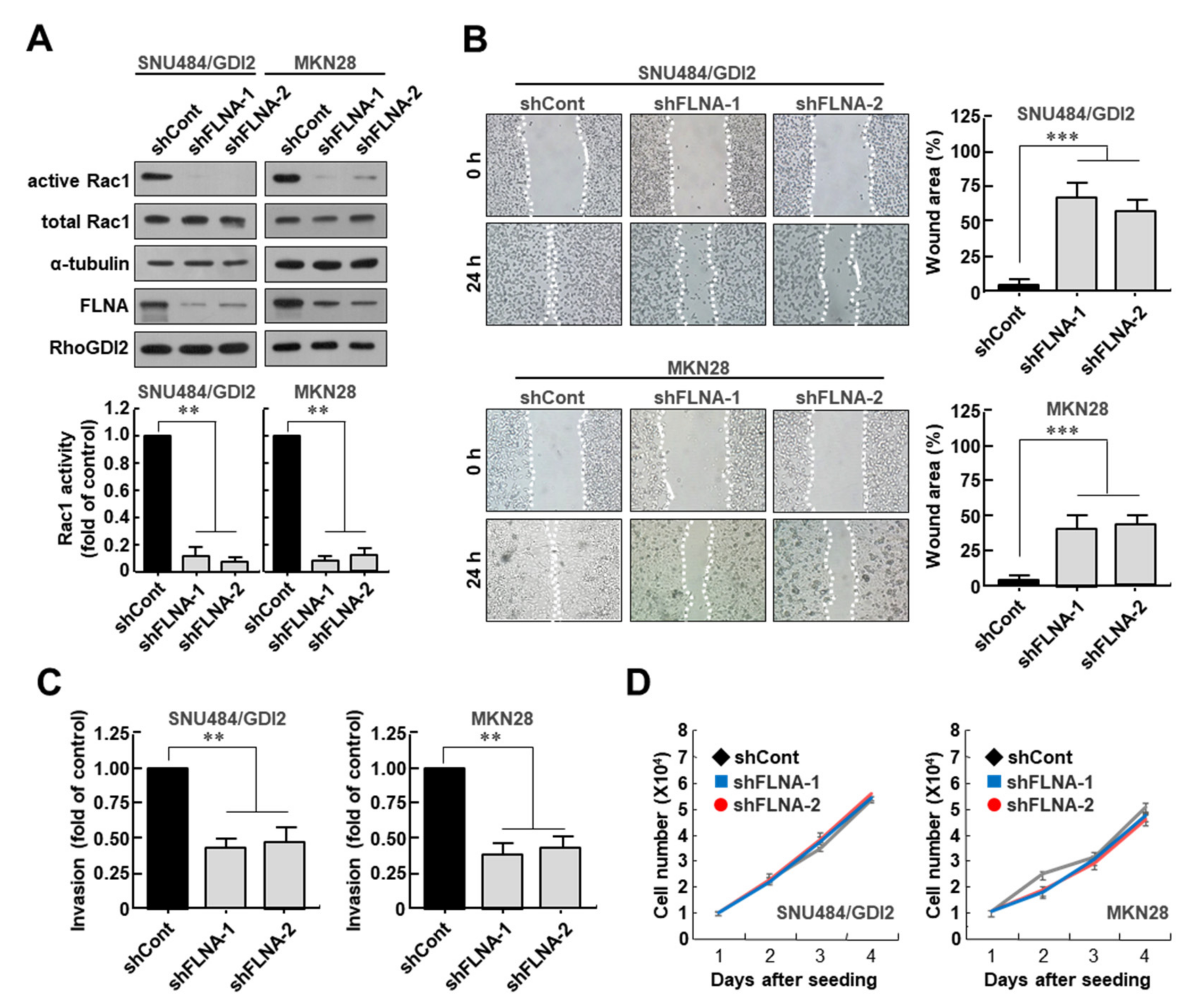 Cancers 14 00255 g003