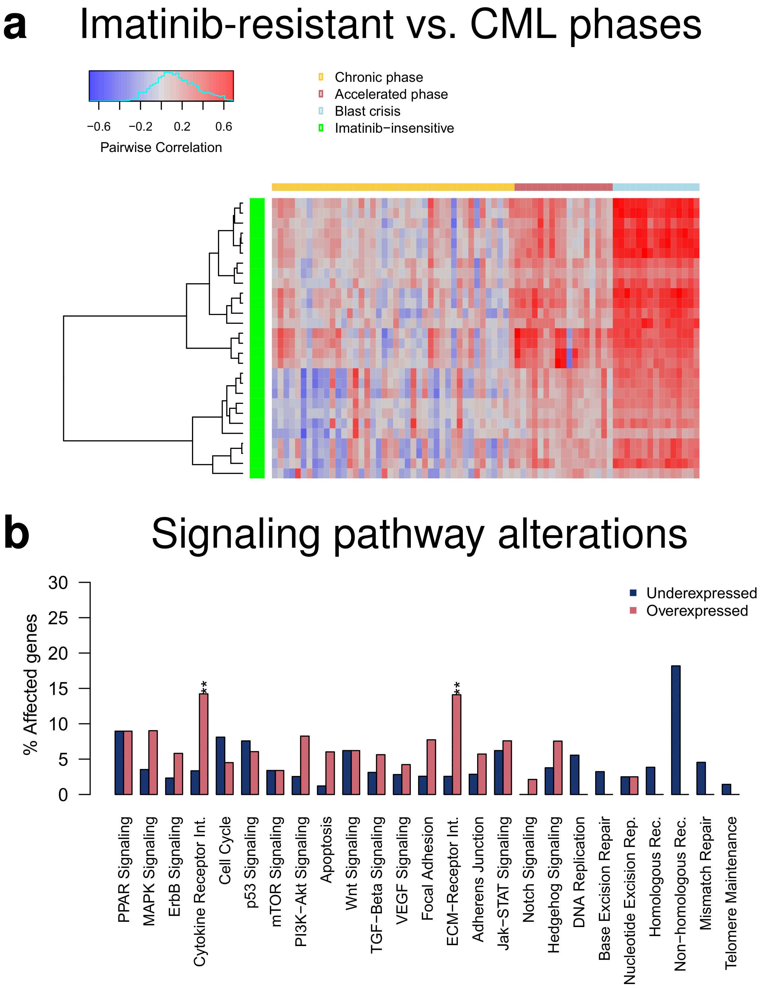 Cancers 14 00256 g006 Cancers 14 00256 g006