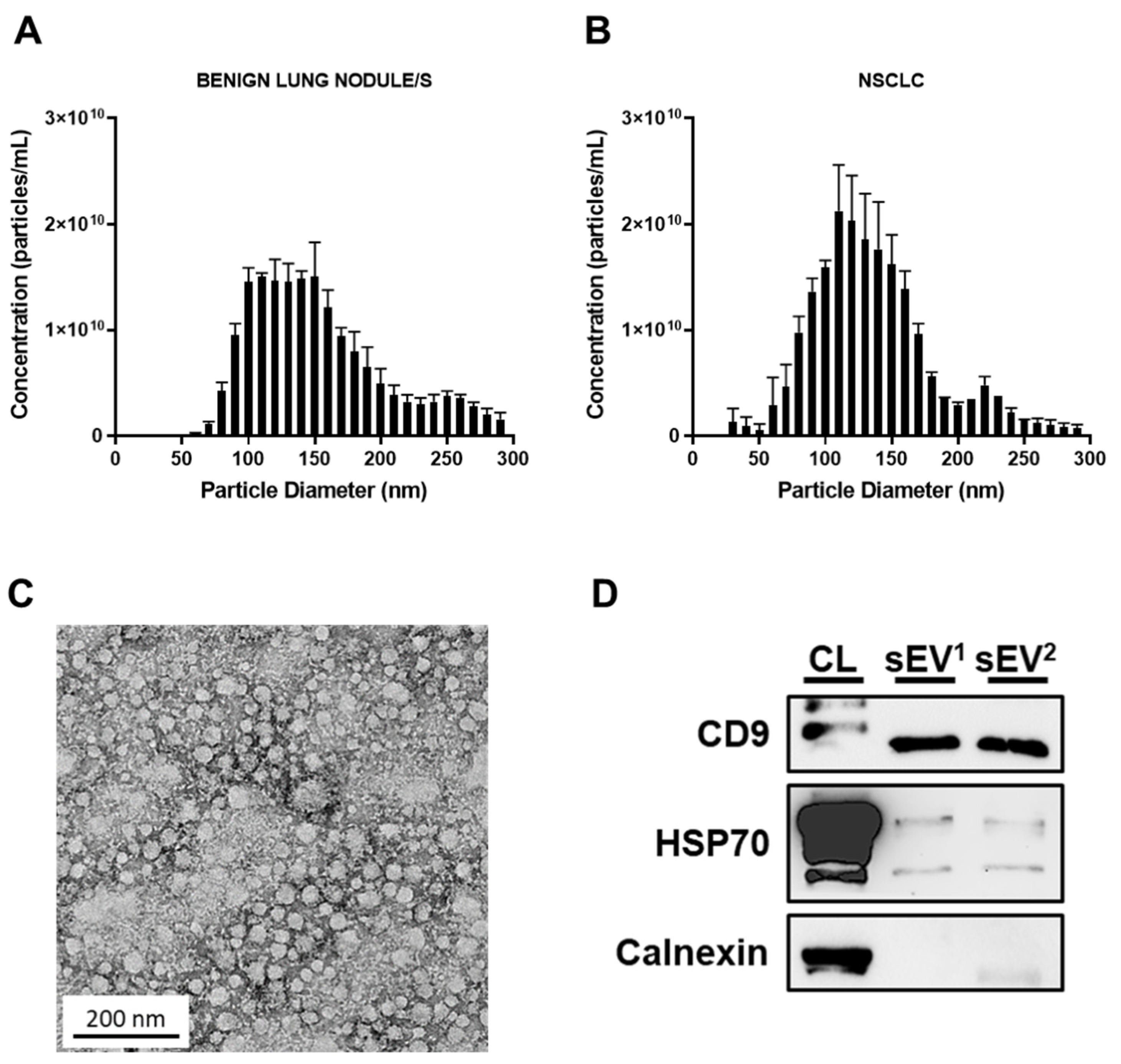 Cancers 14 00257 g001 Cancers 14 00257 g001