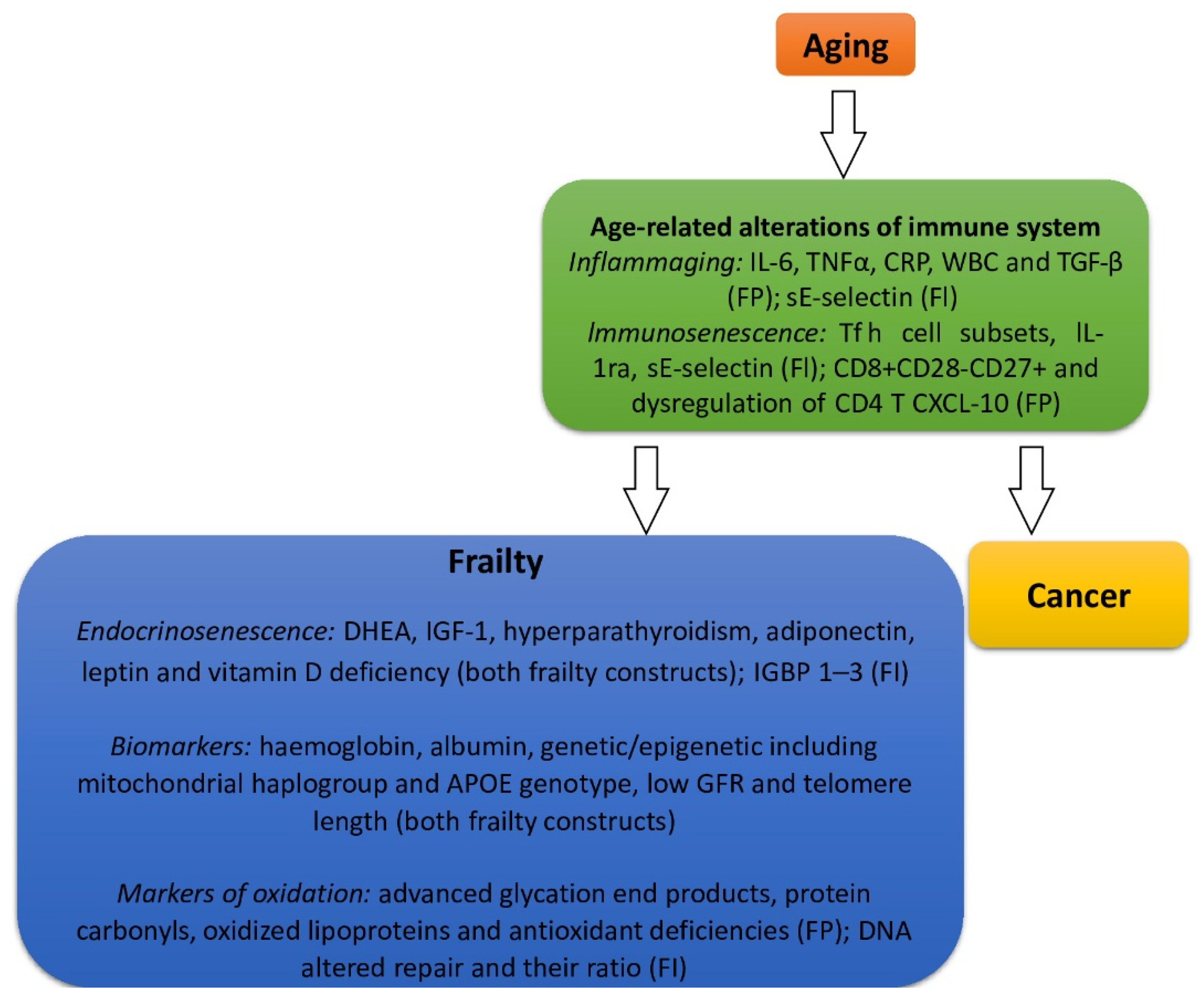 Cancers 14 00258 g002 Cancers 14 00258 g002