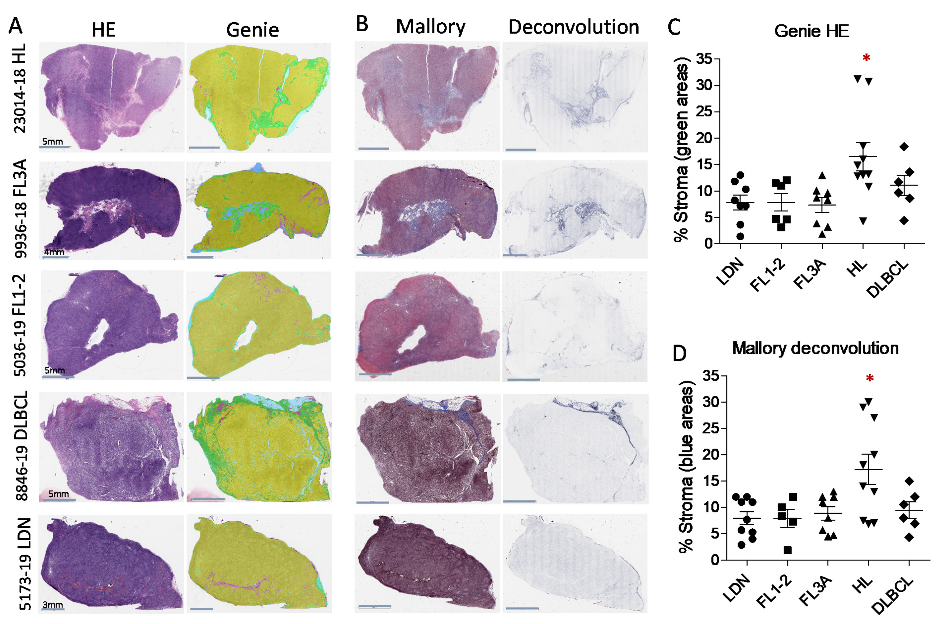 Cancers 14 00259 g001