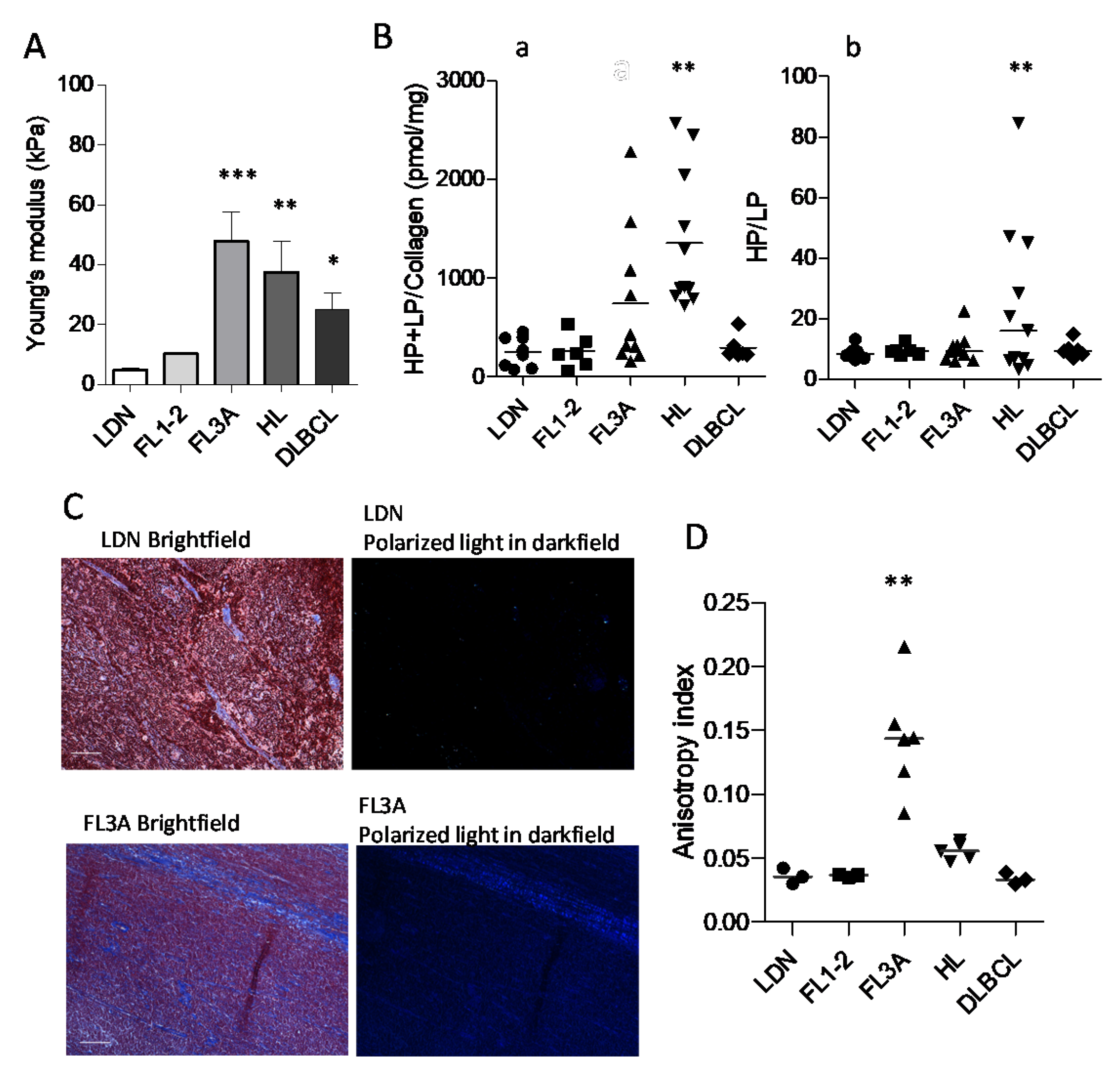 Cancers 14 00259 g003