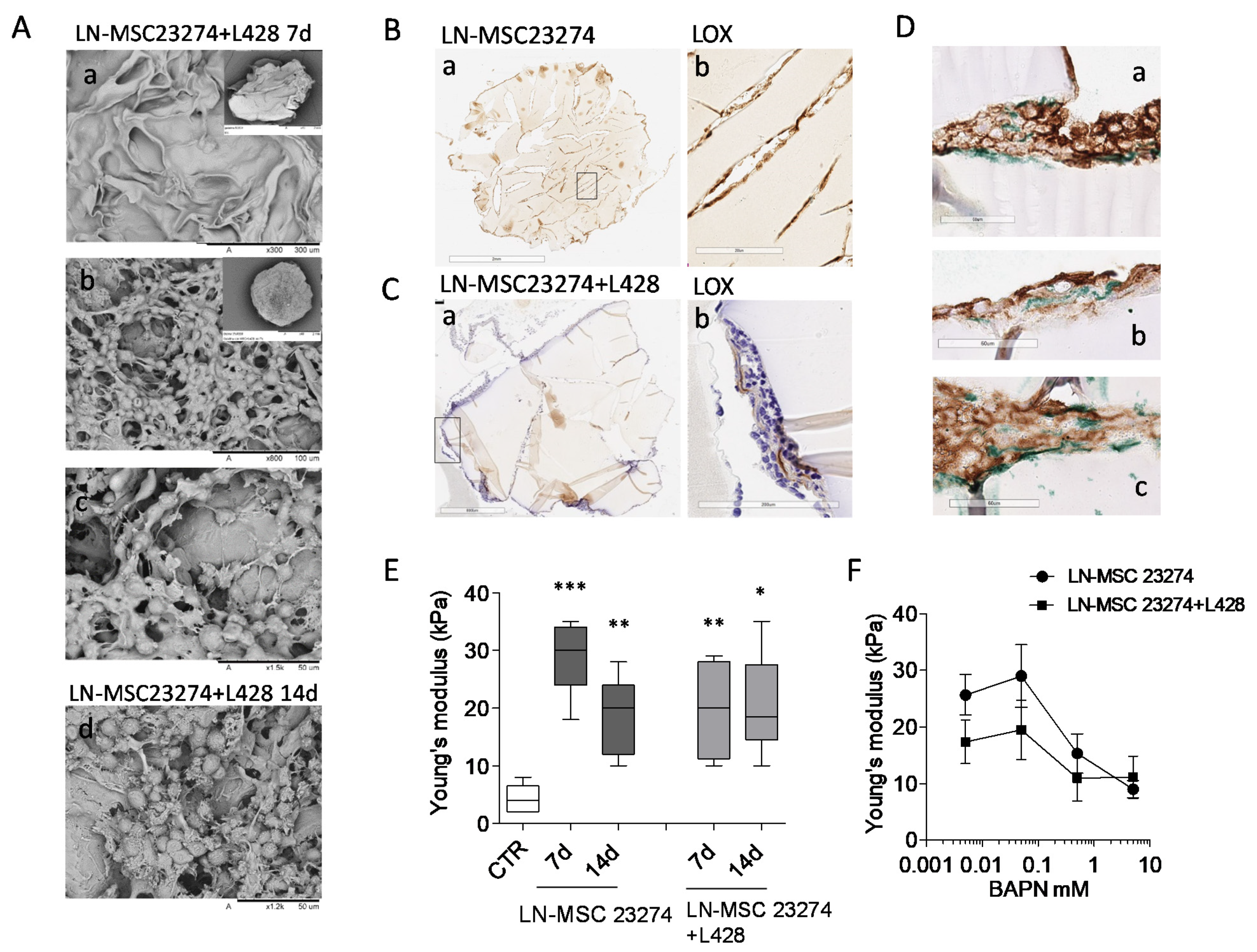 Cancers 14 00259 g007