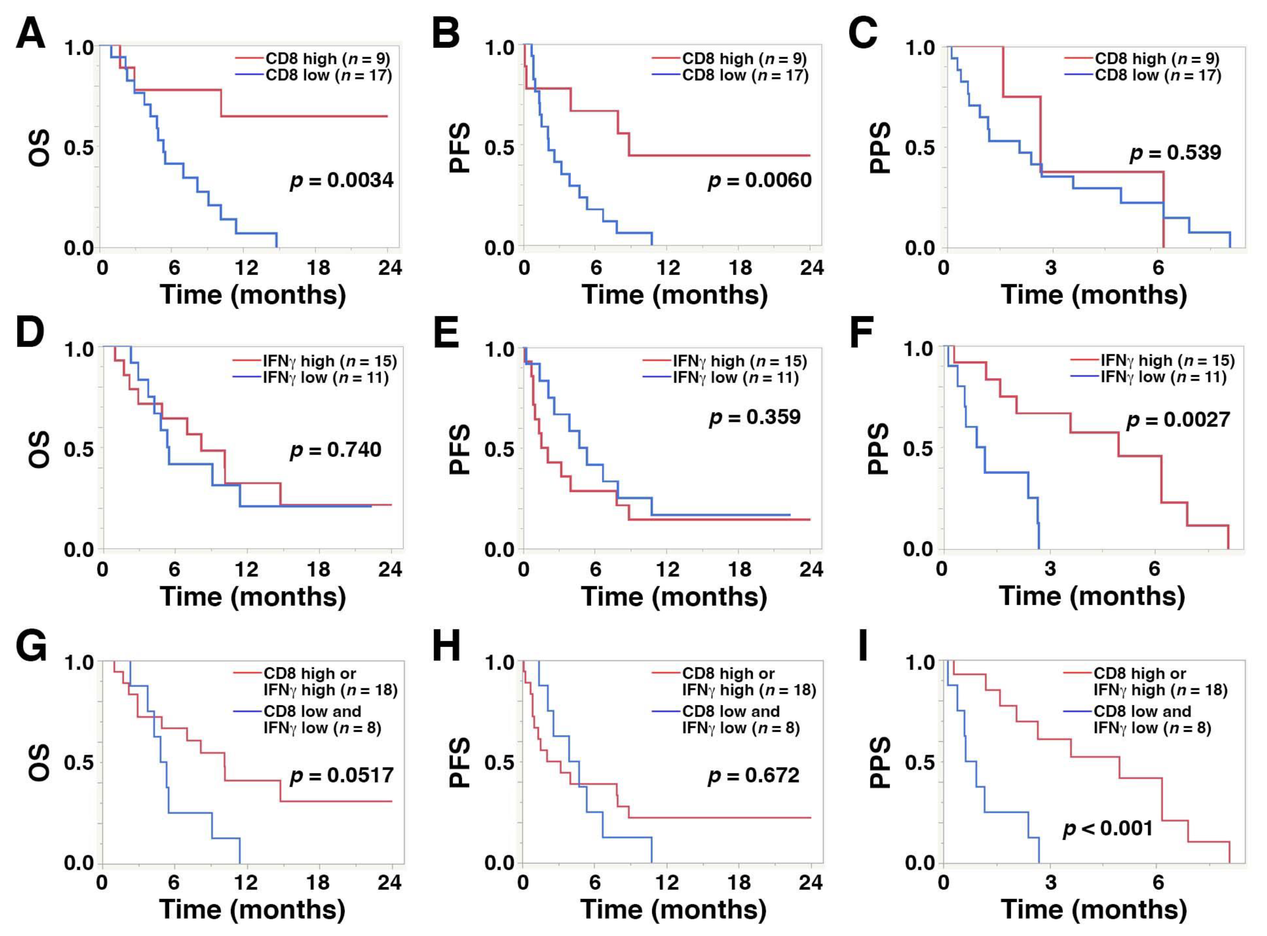 Cancers 14 00263 g004 550