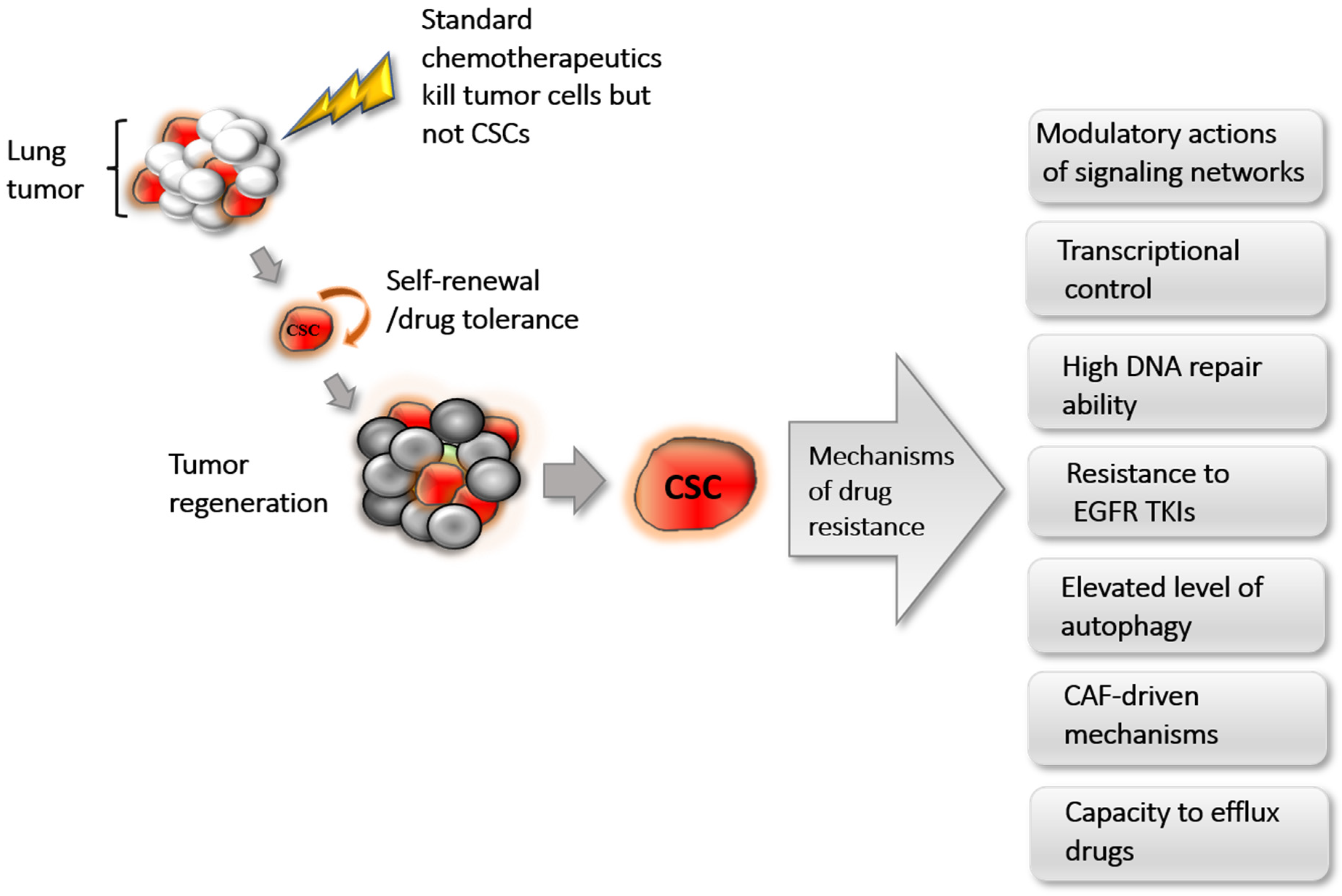 Cancers 14 00267 g001 Cancers 14 00267 g001