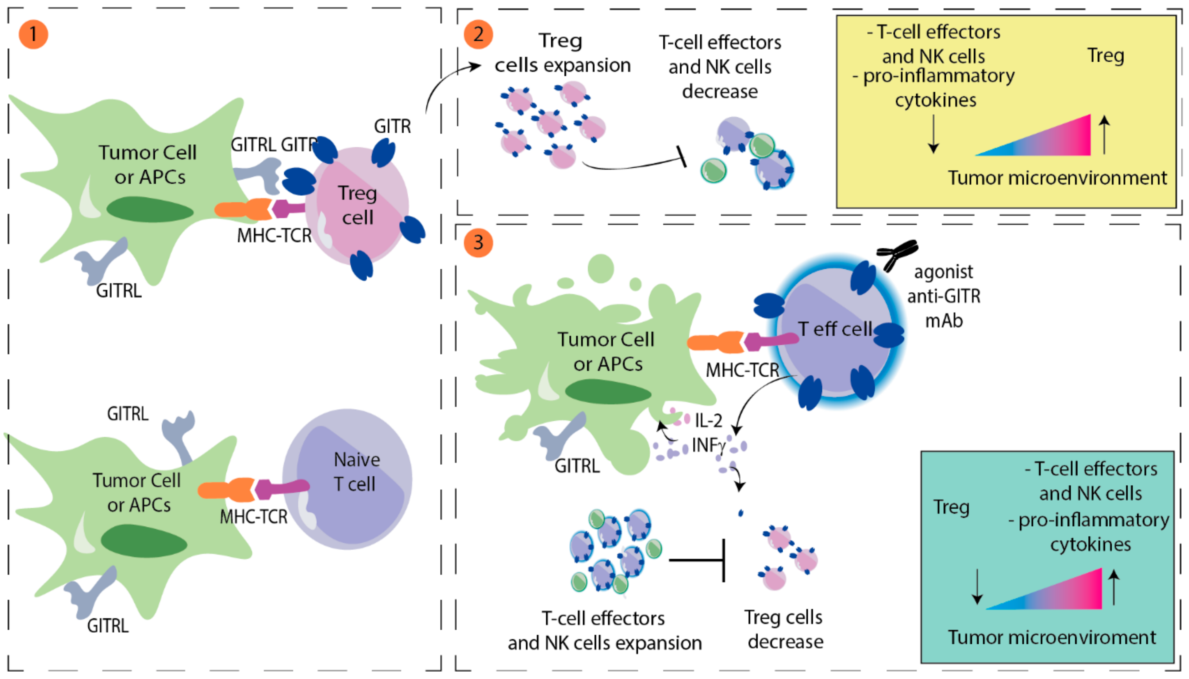 Cancers 14 00271 g002 550