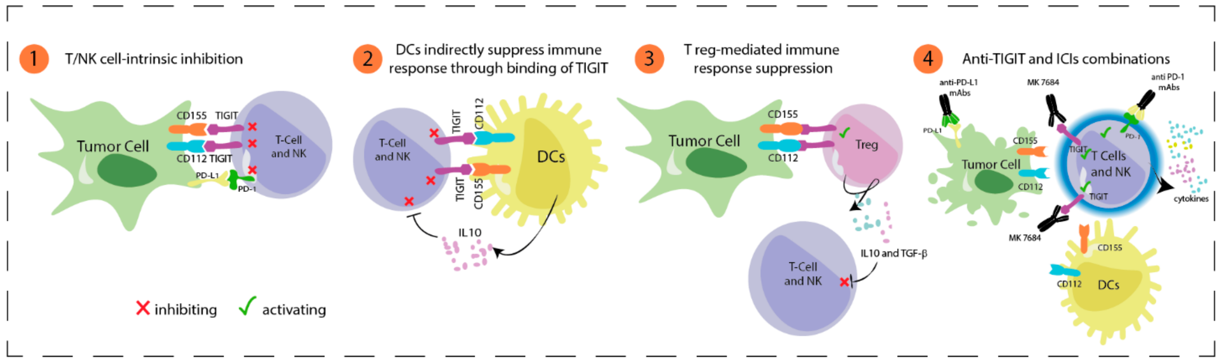 Cancers 14 00271 g003 550