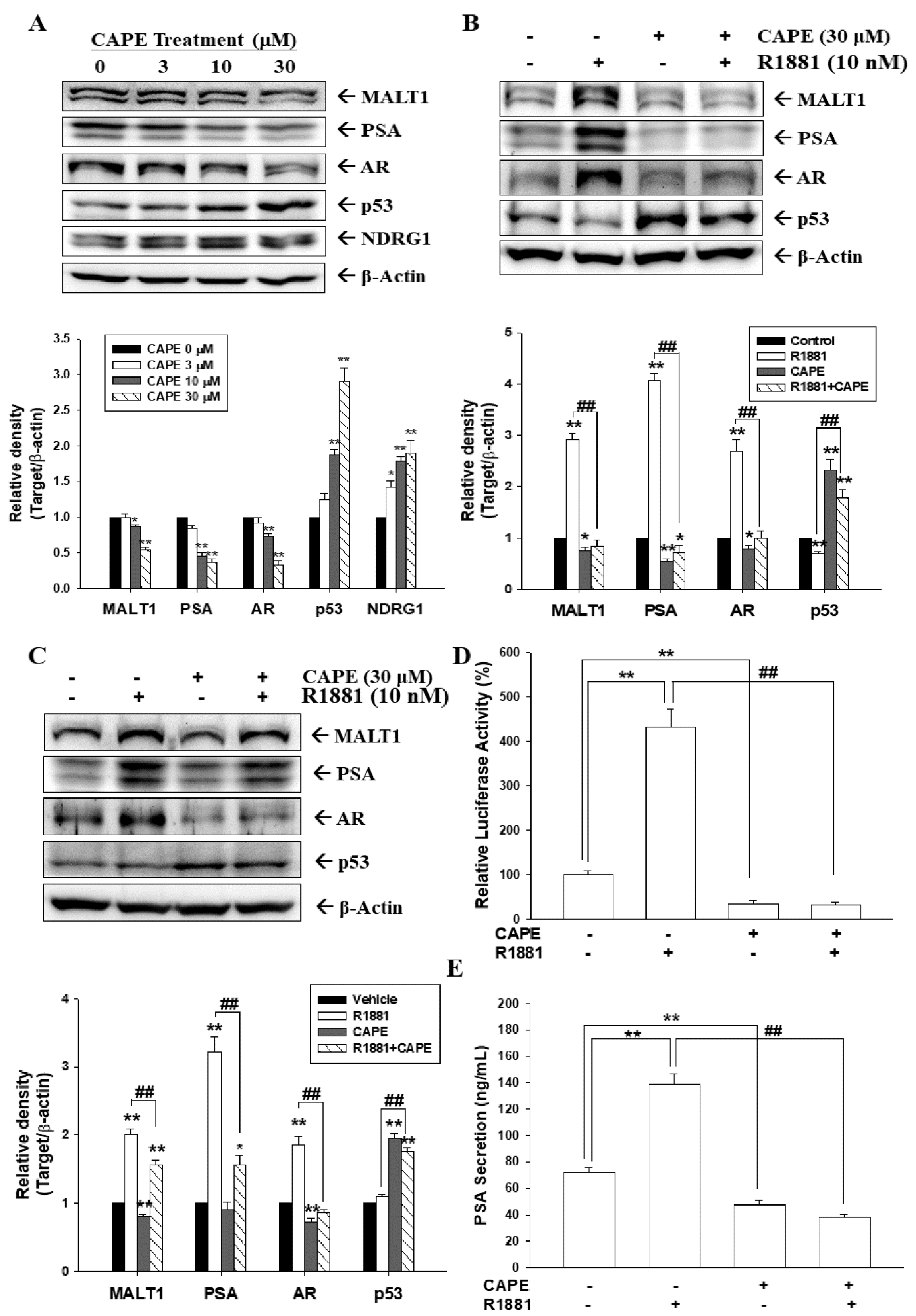 Cancers 14 00274 g001 Cancers 14 00274 g001
