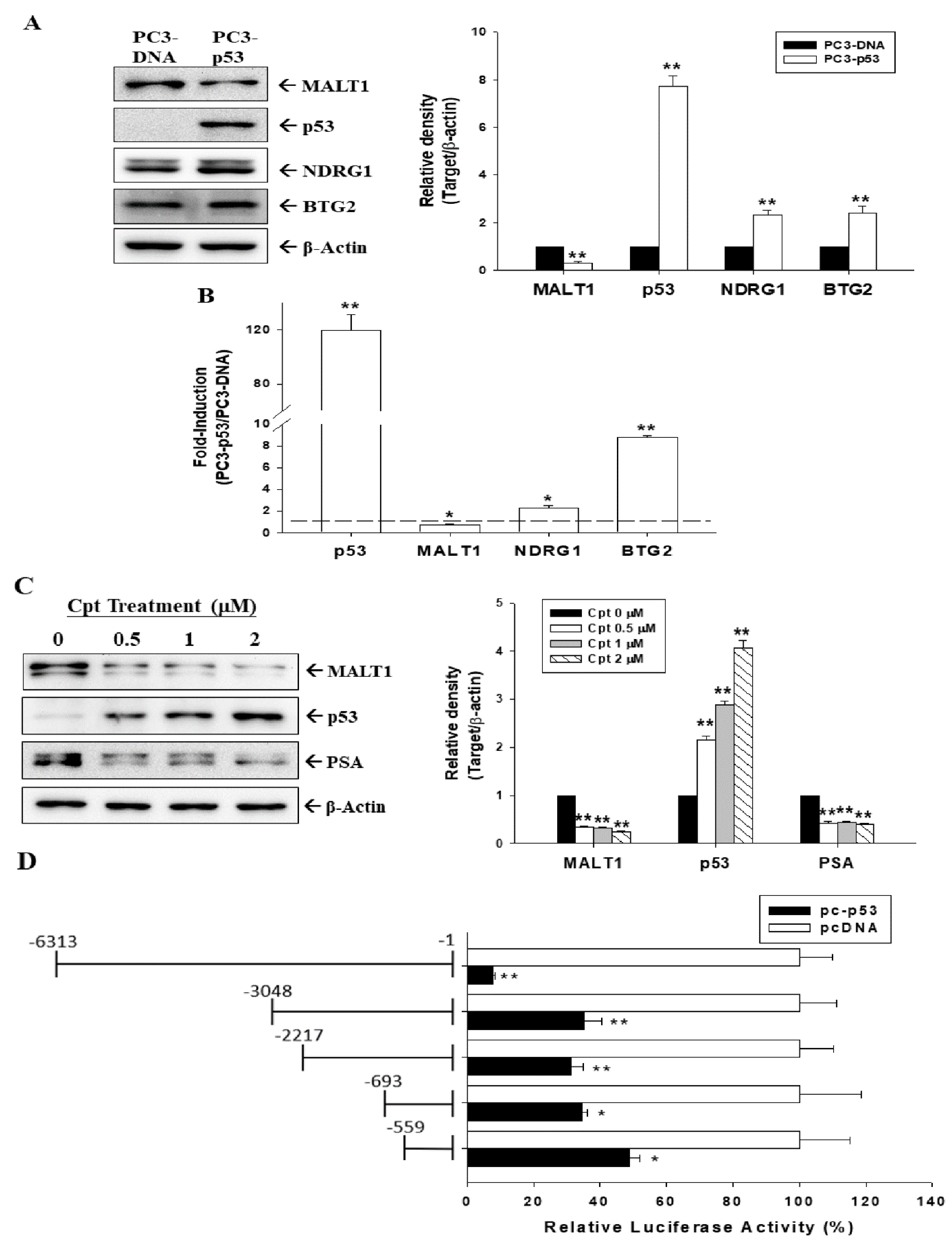 Cancers 14 00274 g002 Cancers 14 00274 g002