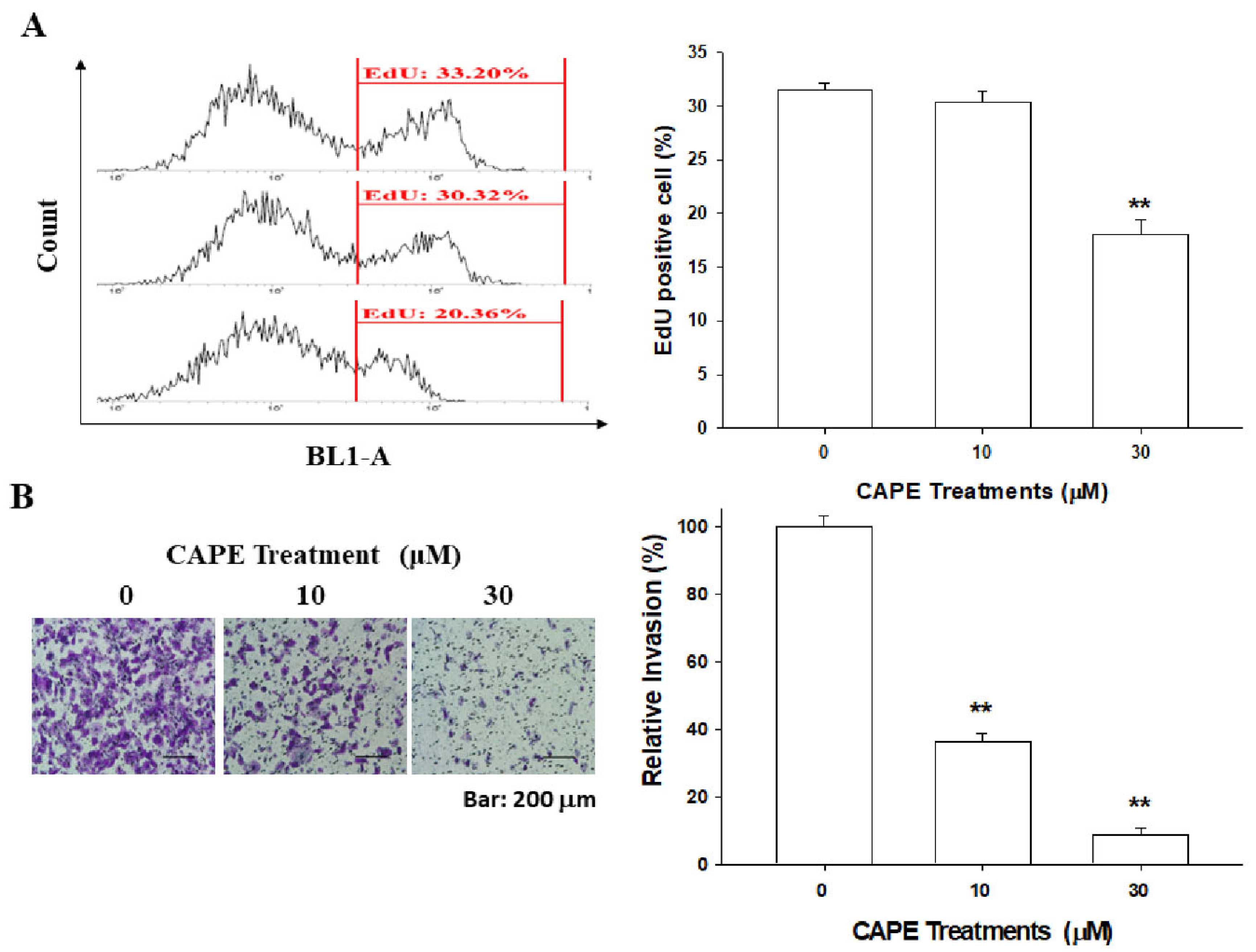Cancers 14 00274 g004 Cancers 14 00274 g004