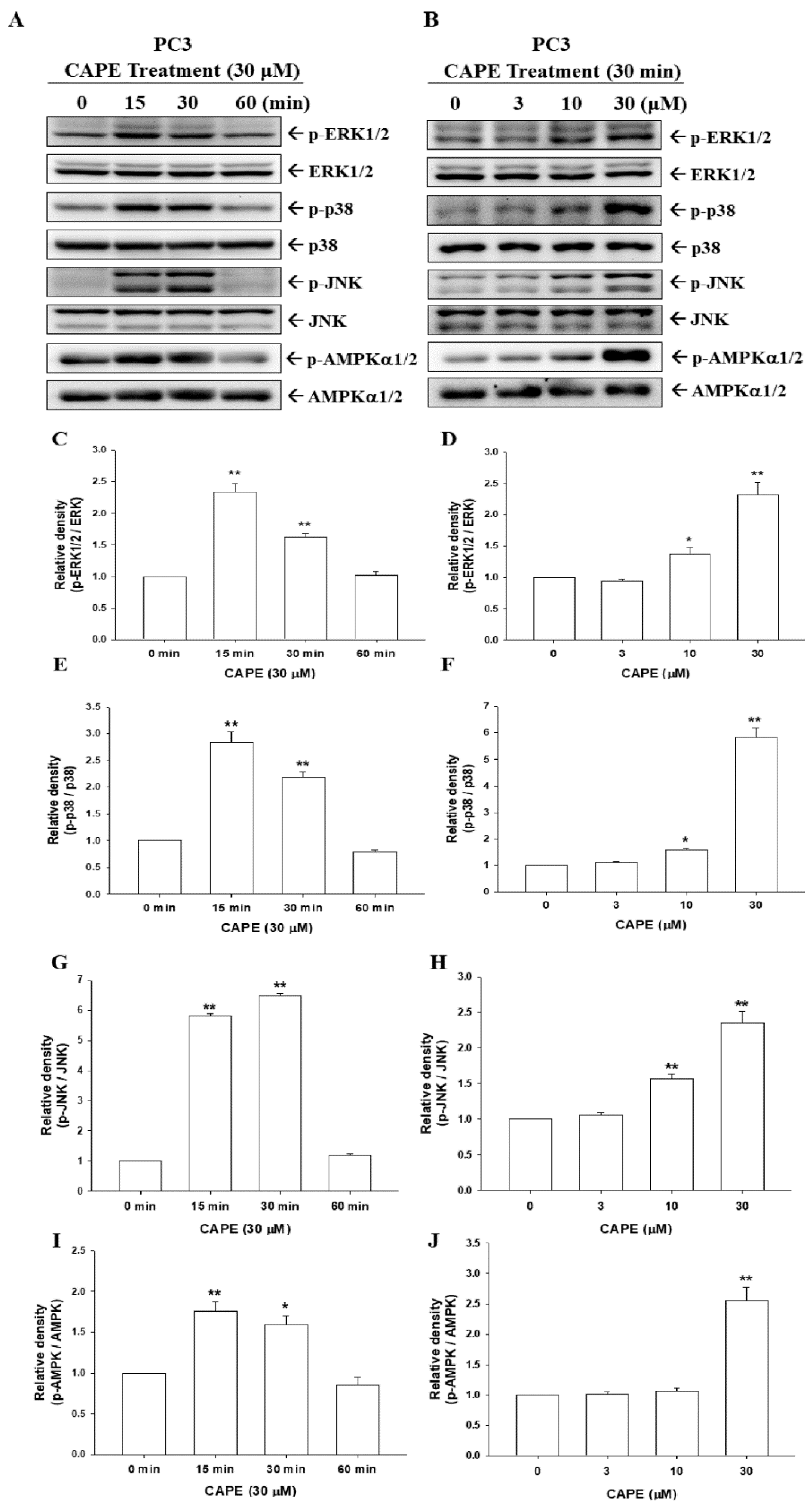 Cancers 14 00274 g005 Cancers 14 00274 g005