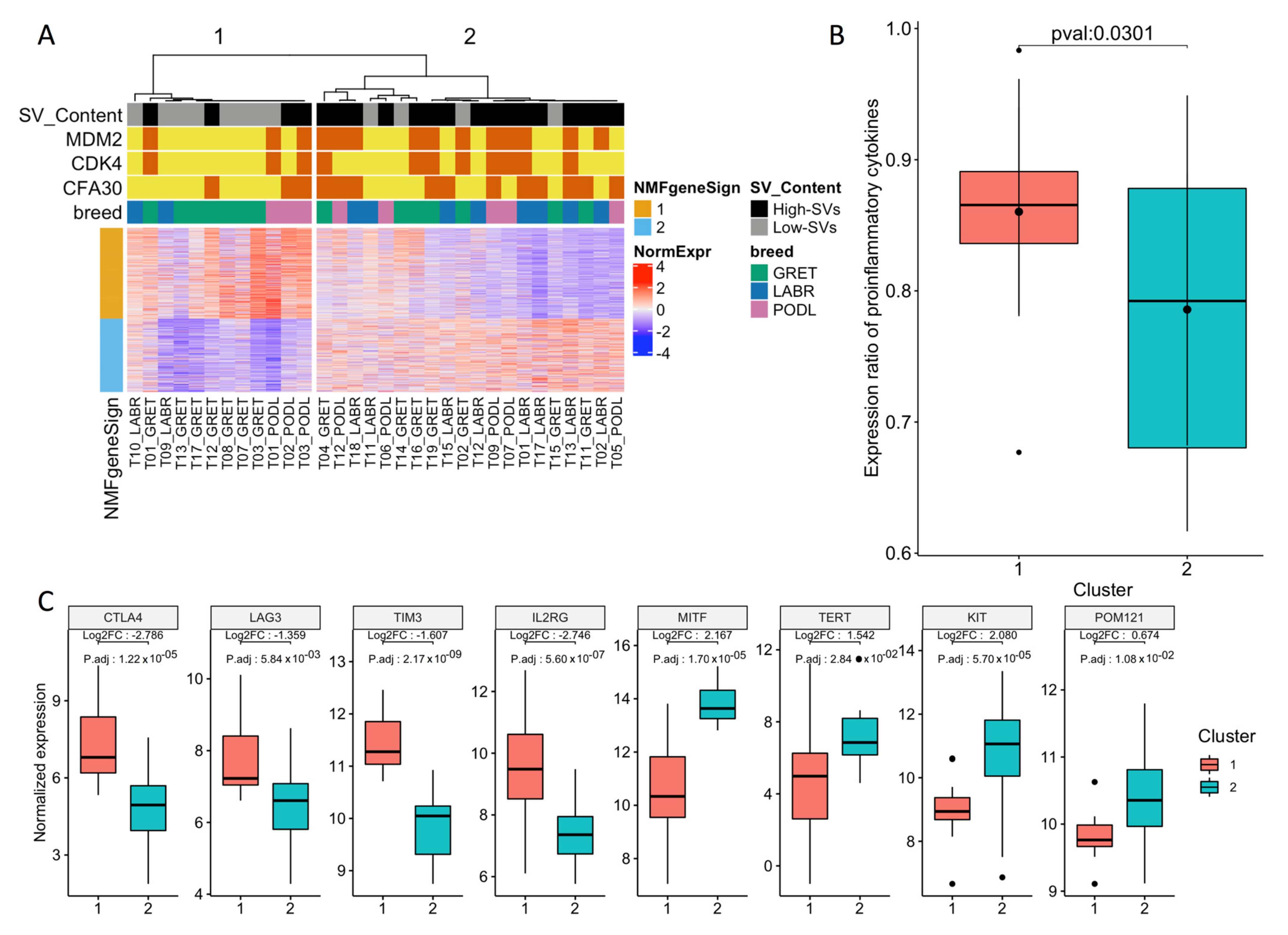 Cancers 14 00276 g001