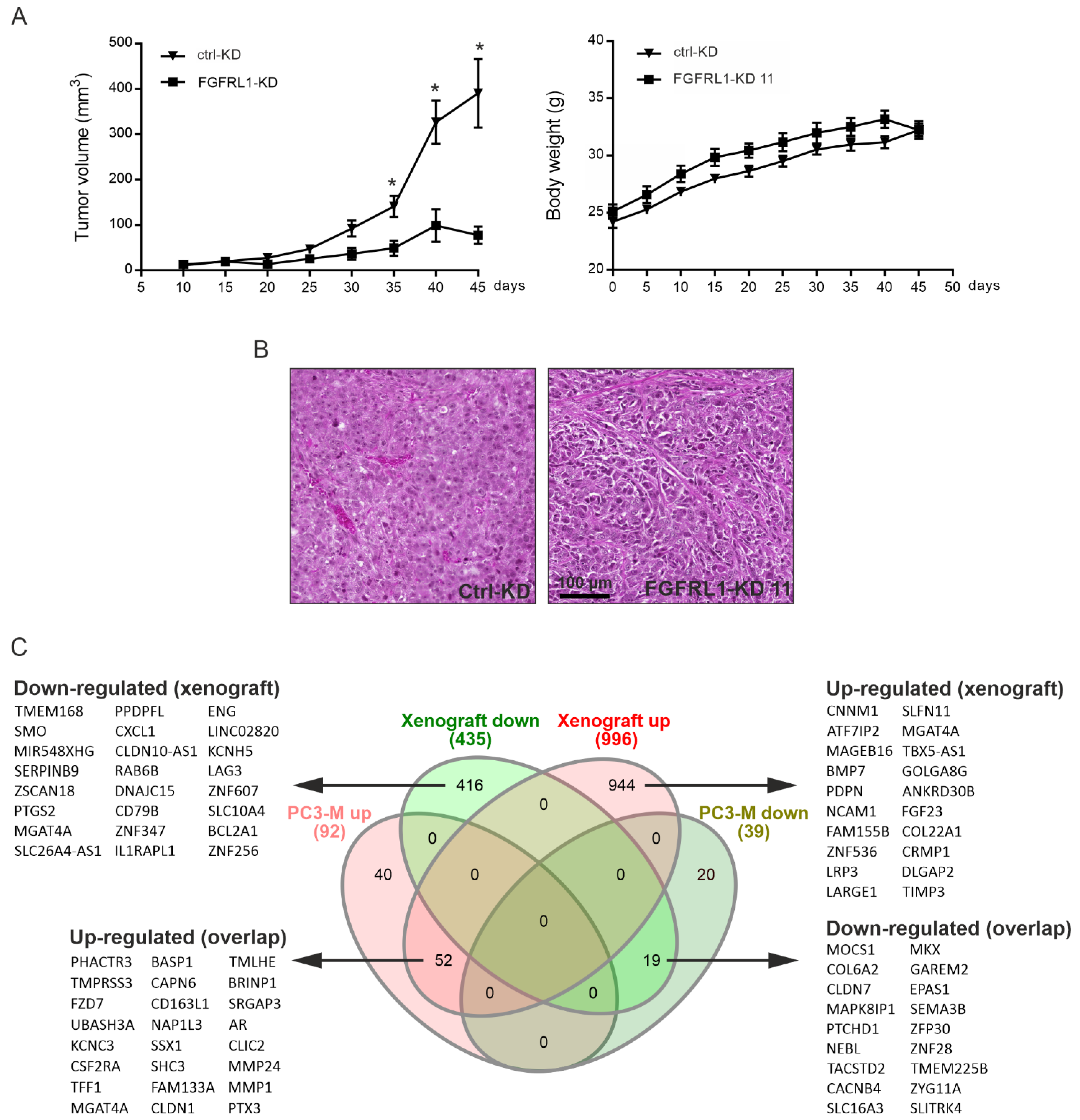 Cancers 14 00278 g005 Cancers 14 00278 g005