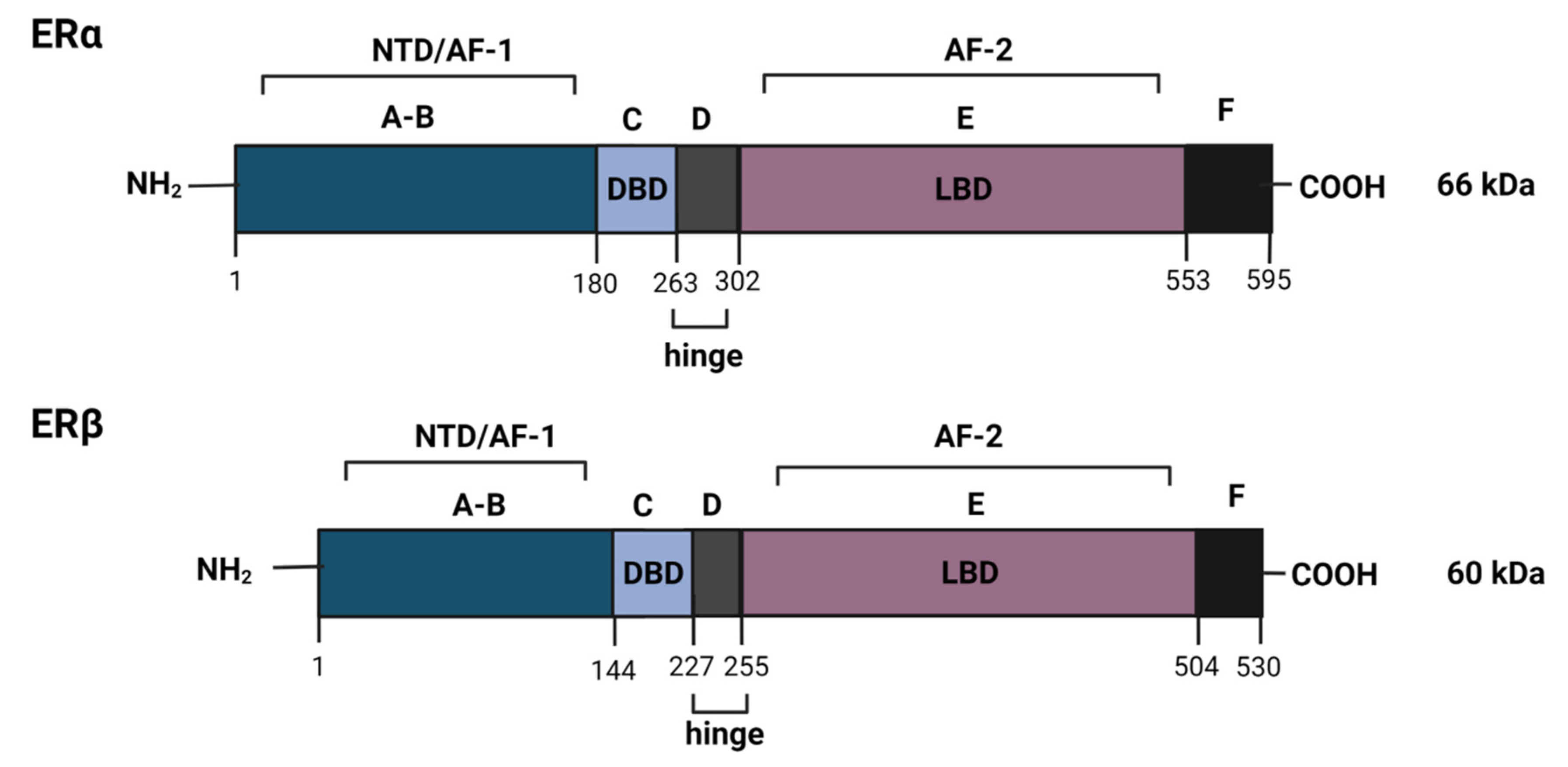 Cancers 14 00279 g001