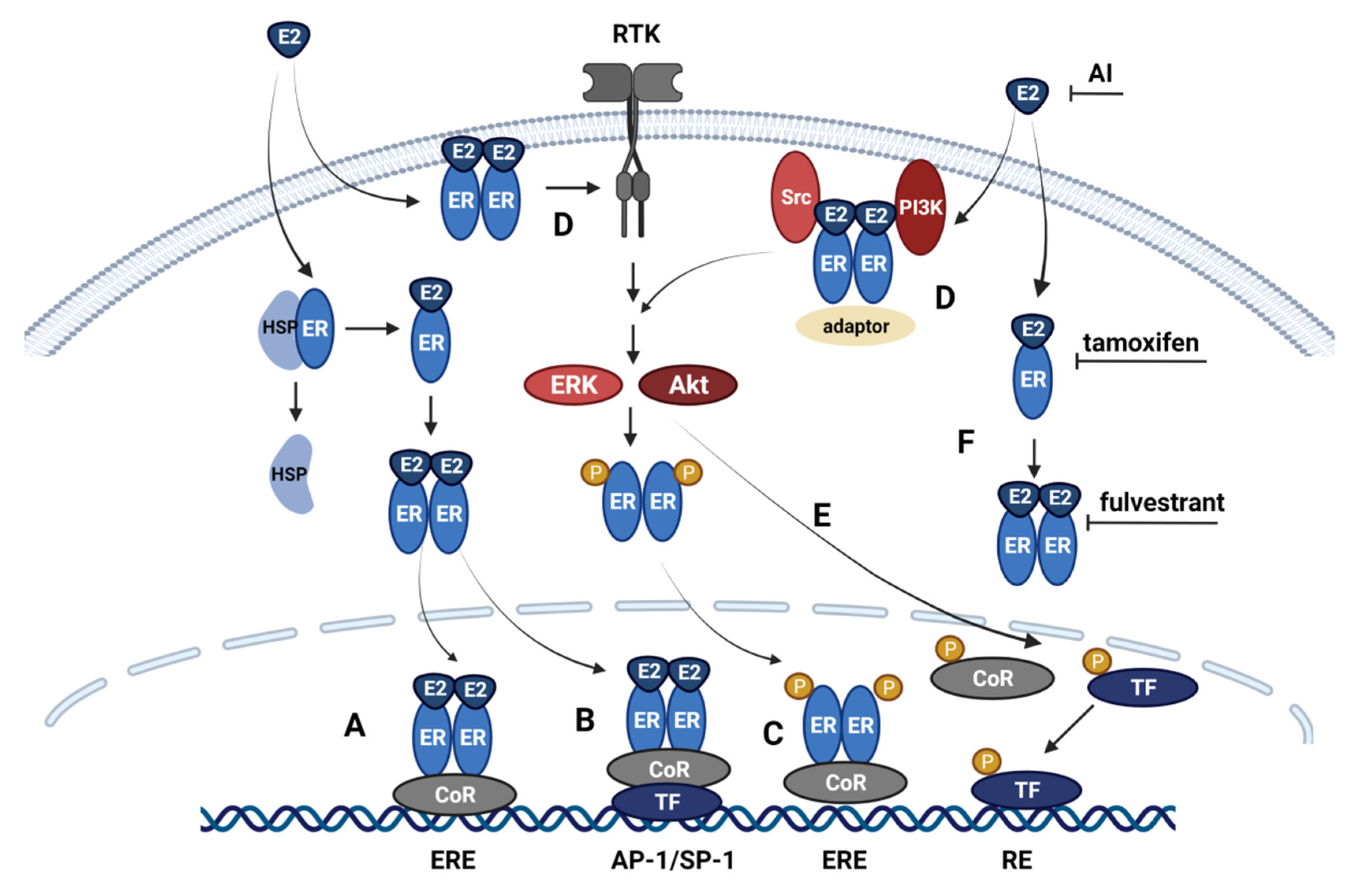 Cancers 14 00279 g002