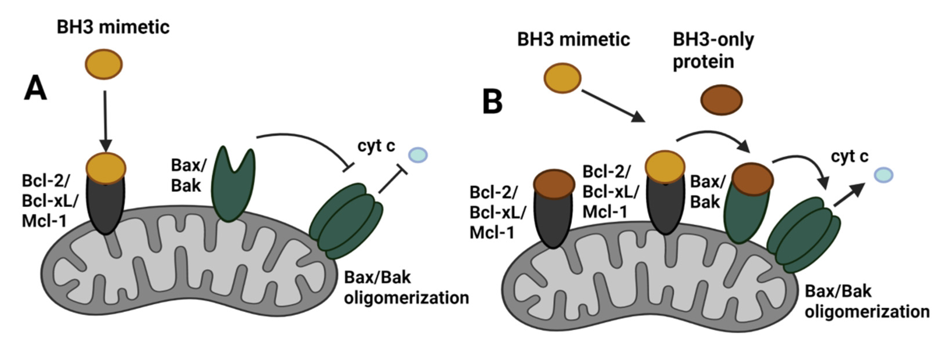 Cancers 14 00279 g006