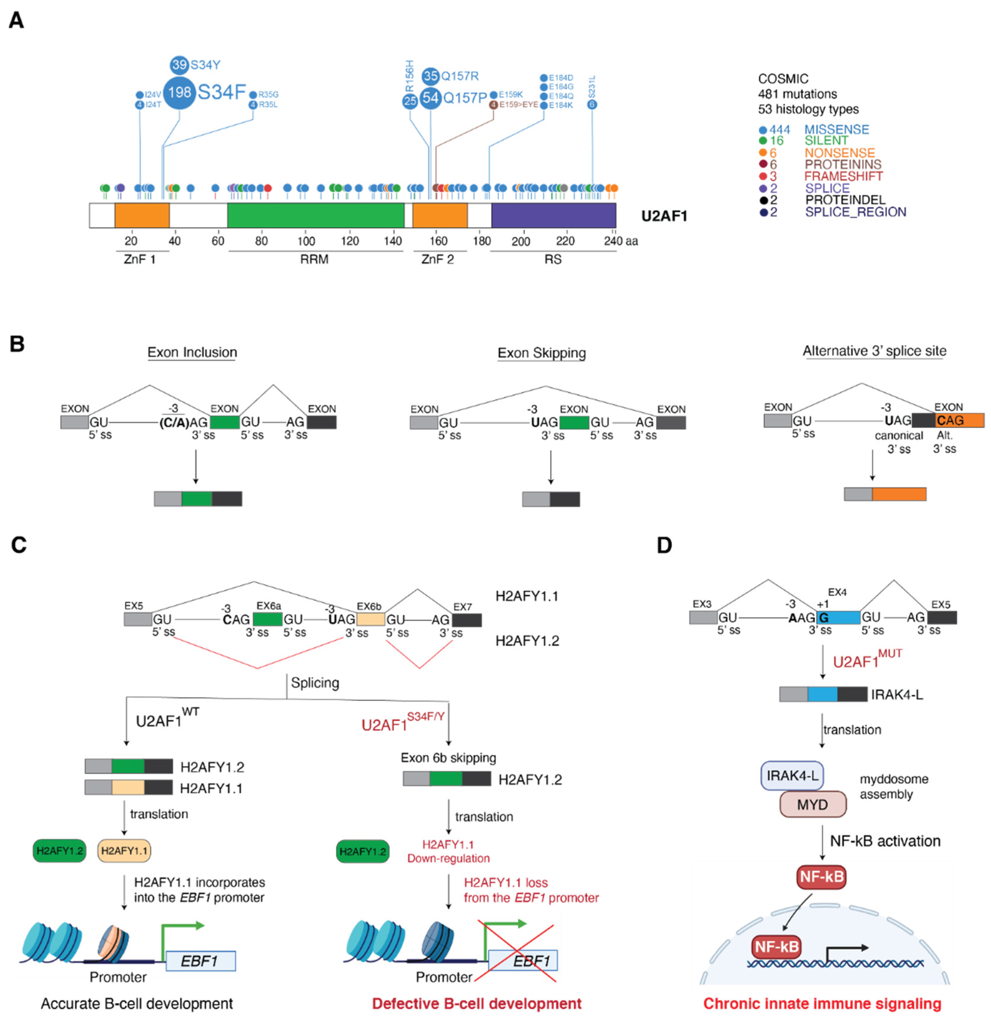 Cancers 14 00281 g004