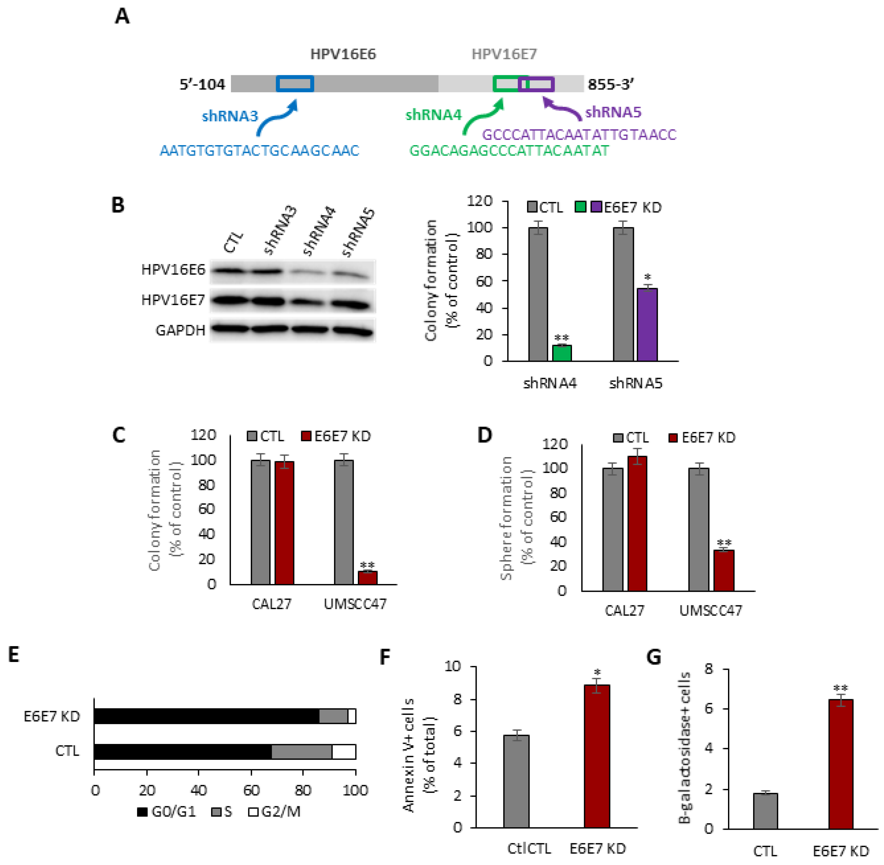 Cancers 14 00282 g001 550
