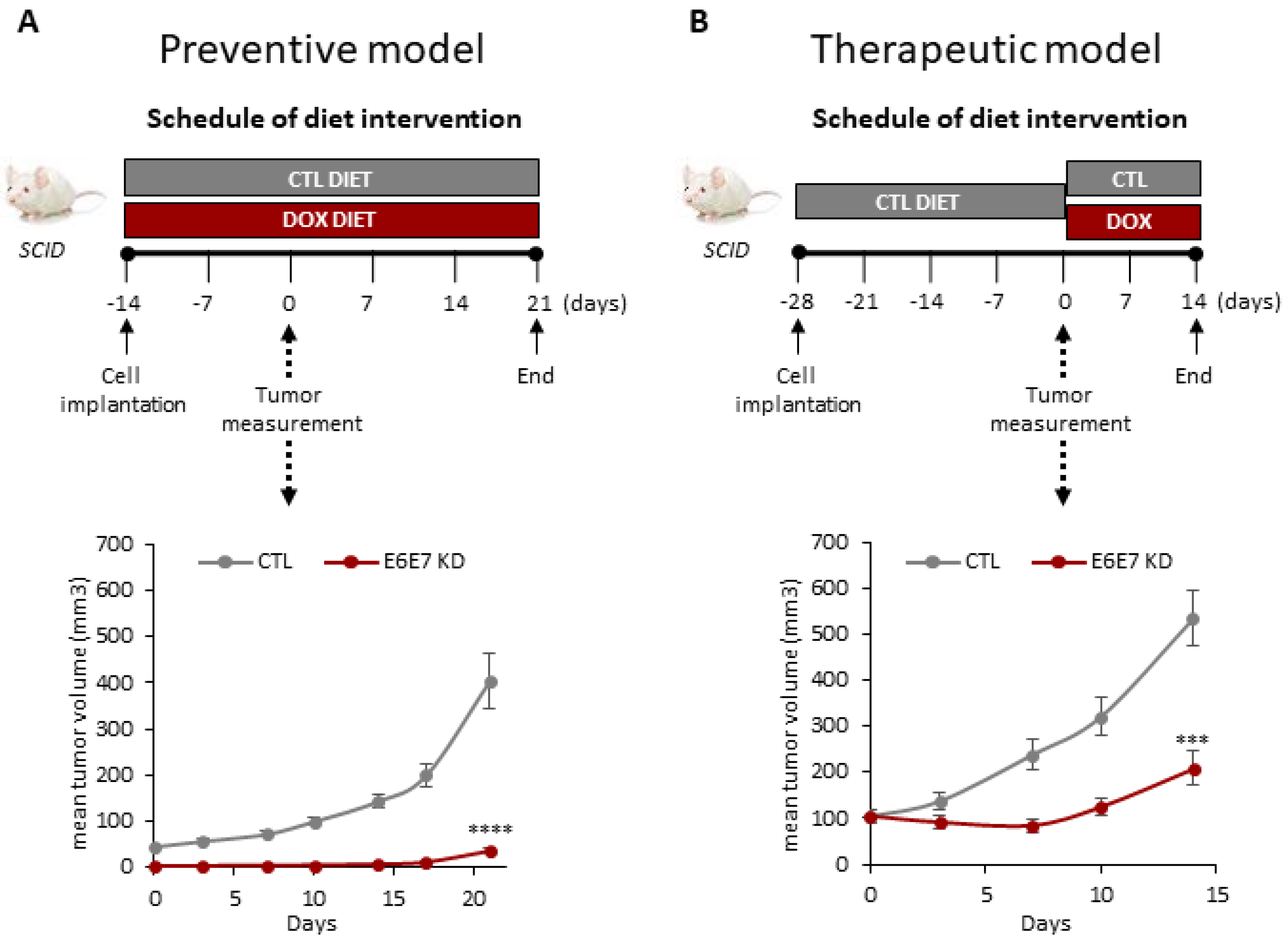 Cancers 14 00282 g002 550