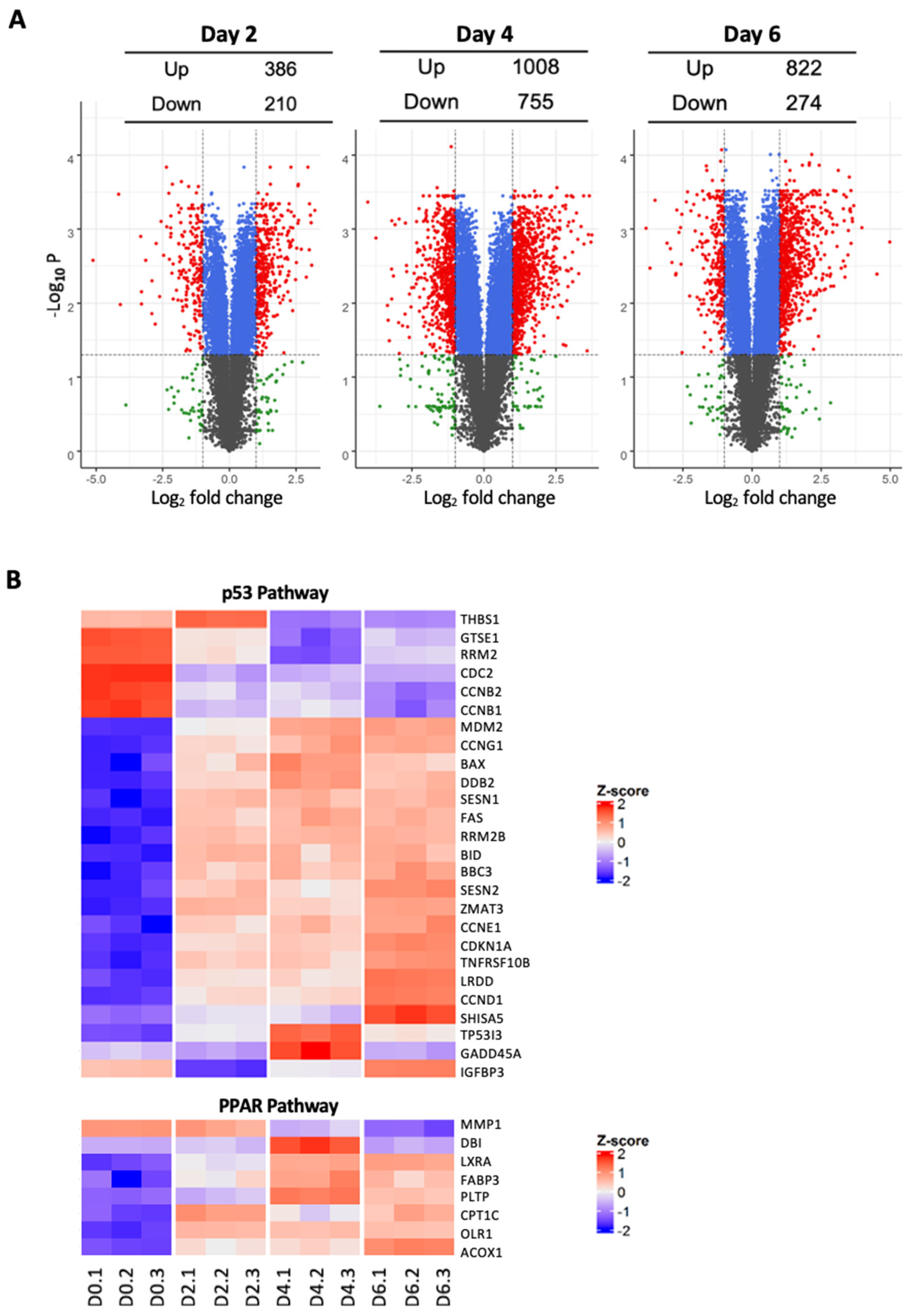 Cancers 14 00282 g004 550