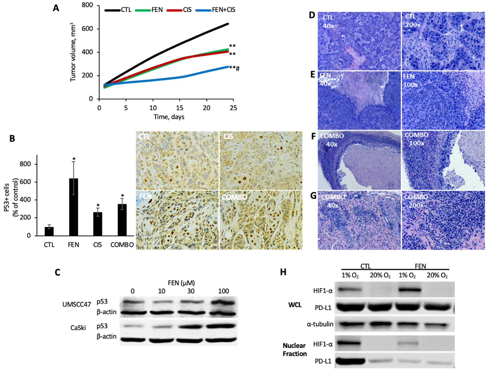 Cancers 14 00282 g006 550