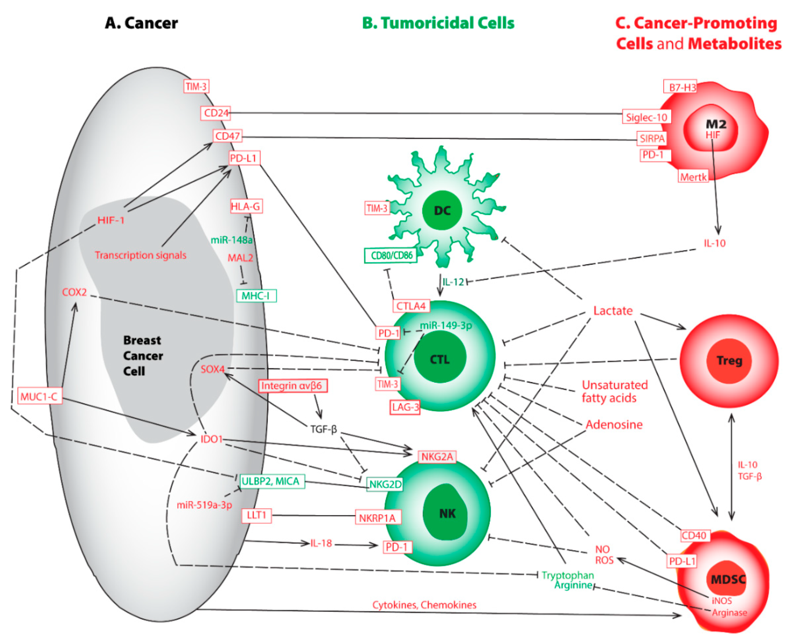 Cancers | Free Full-Text | Breast Cancer Tumor Microenvironment