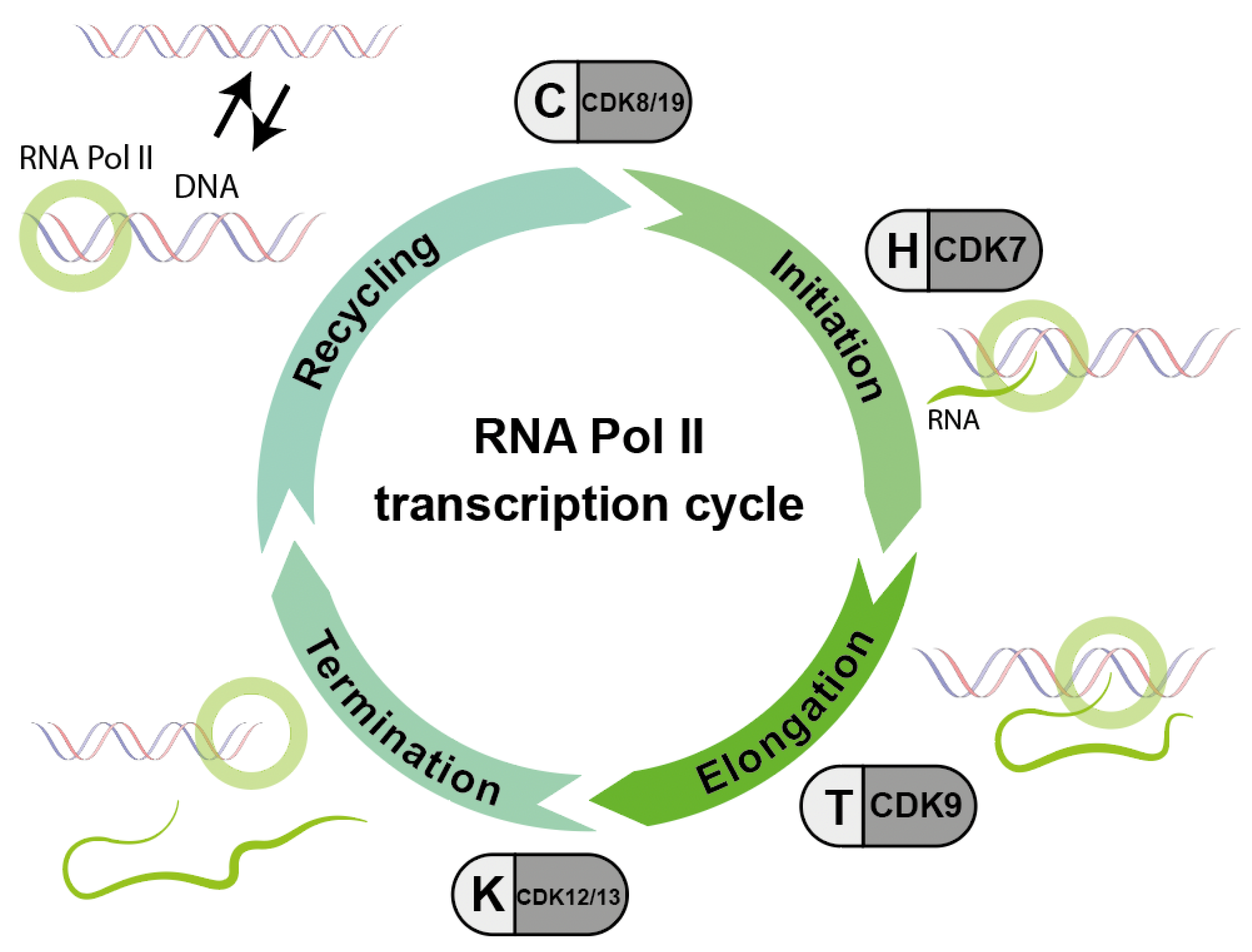 Cancers 14 00293 g003 Cancers 14 00293 g003