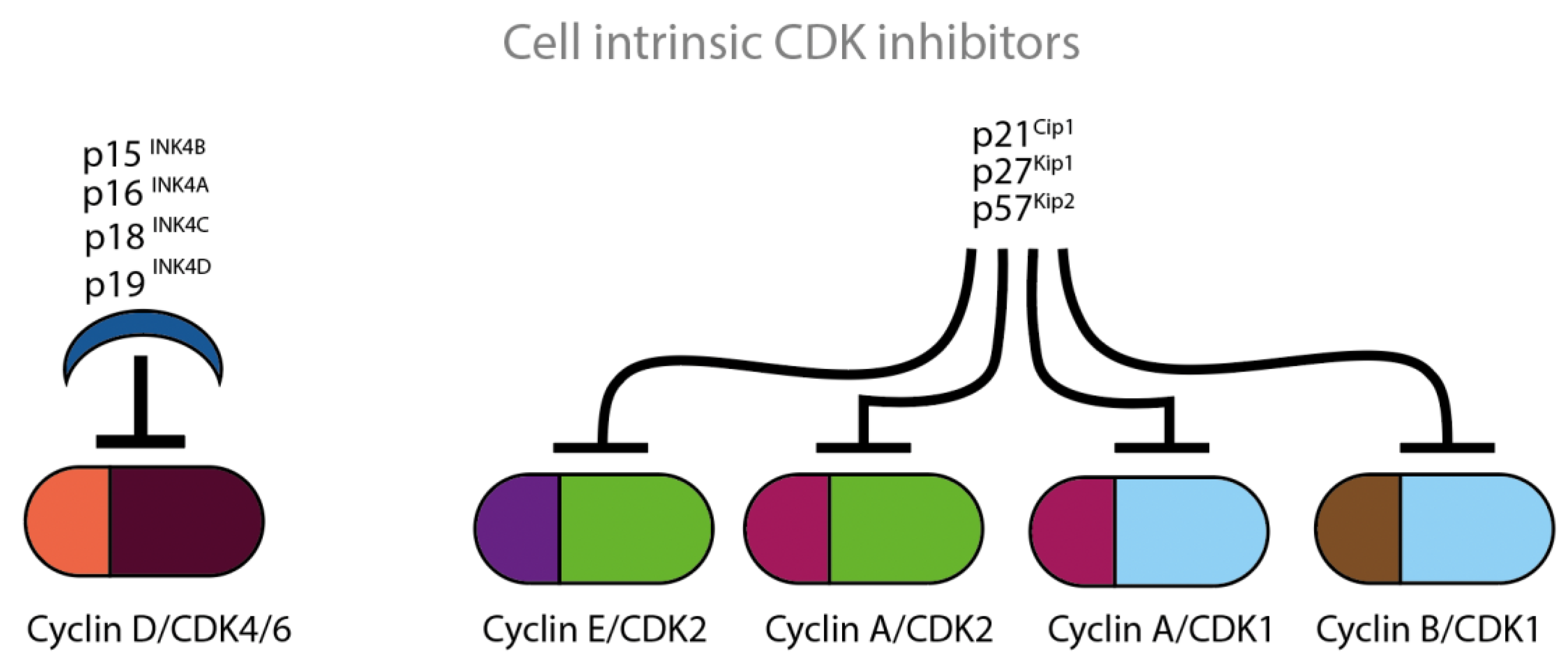 Cancers 14 00293 g004 Cancers 14 00293 g004