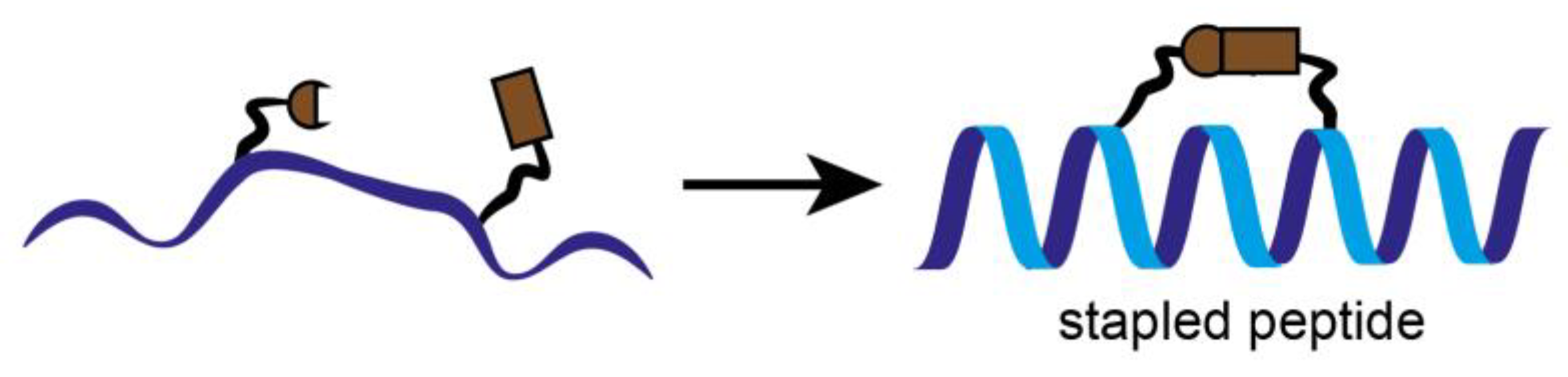 Cancers 14 00293 g005 Cancers 14 00293 g005