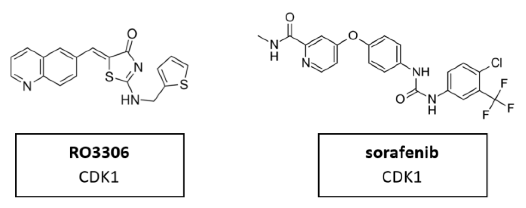 Cancers 14 00293 g009 Cancers 14 00293 g009