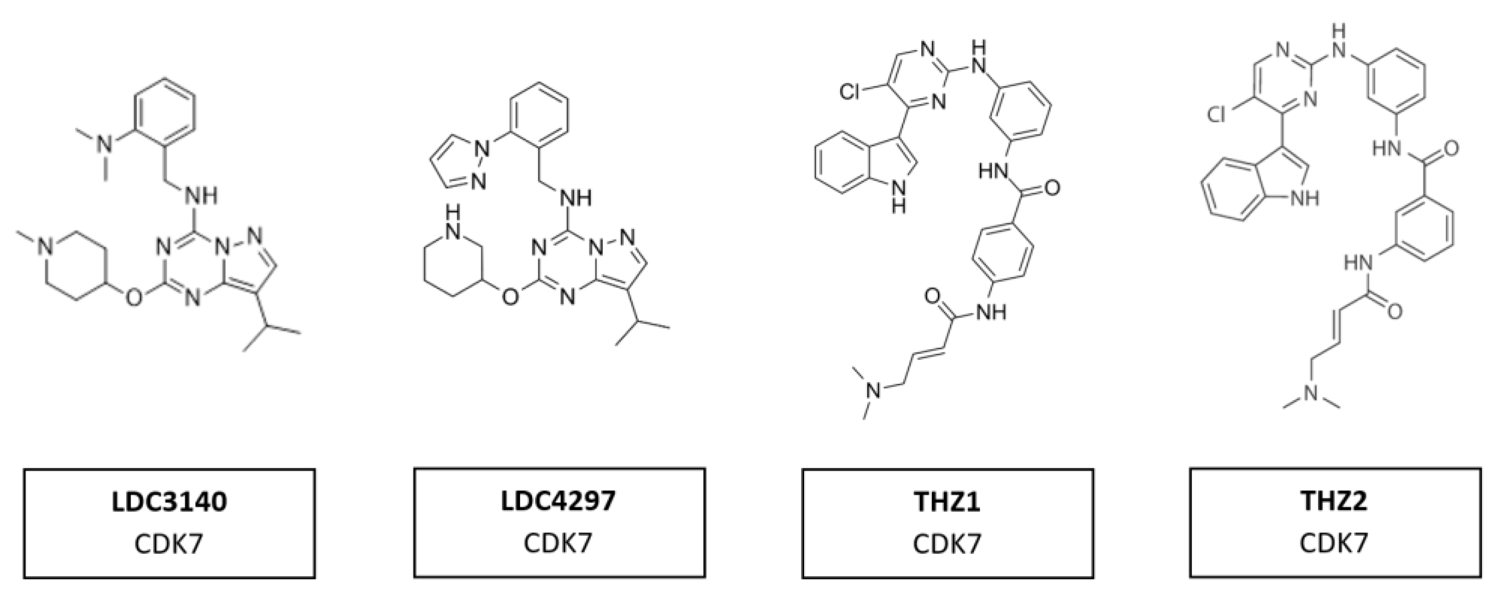 Cancers 14 00293 g013 Cancers 14 00293 g013